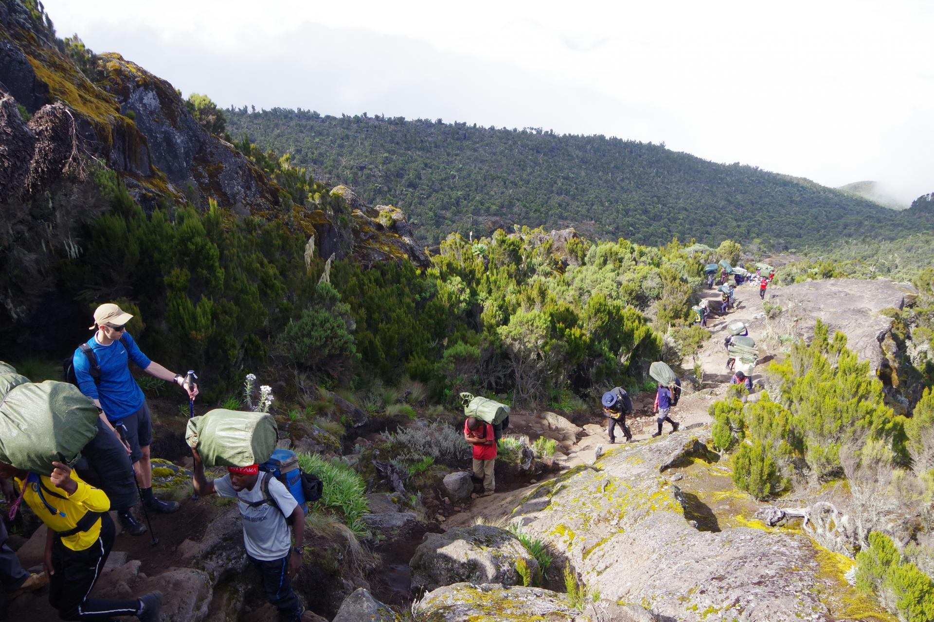 Dans les landes de Machame