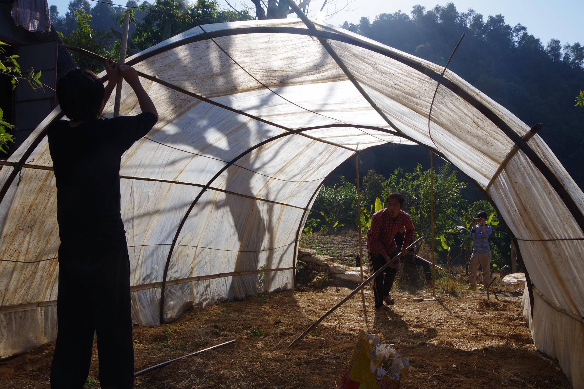 Greenhouse building