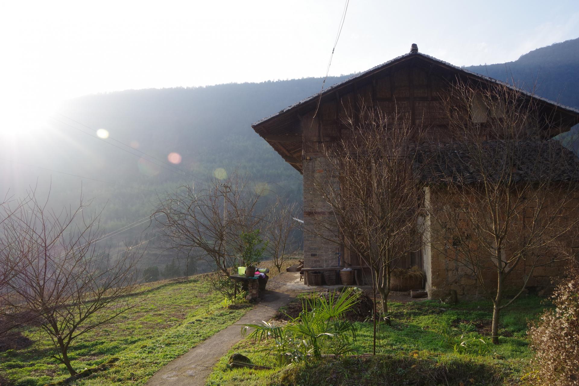 Yang House