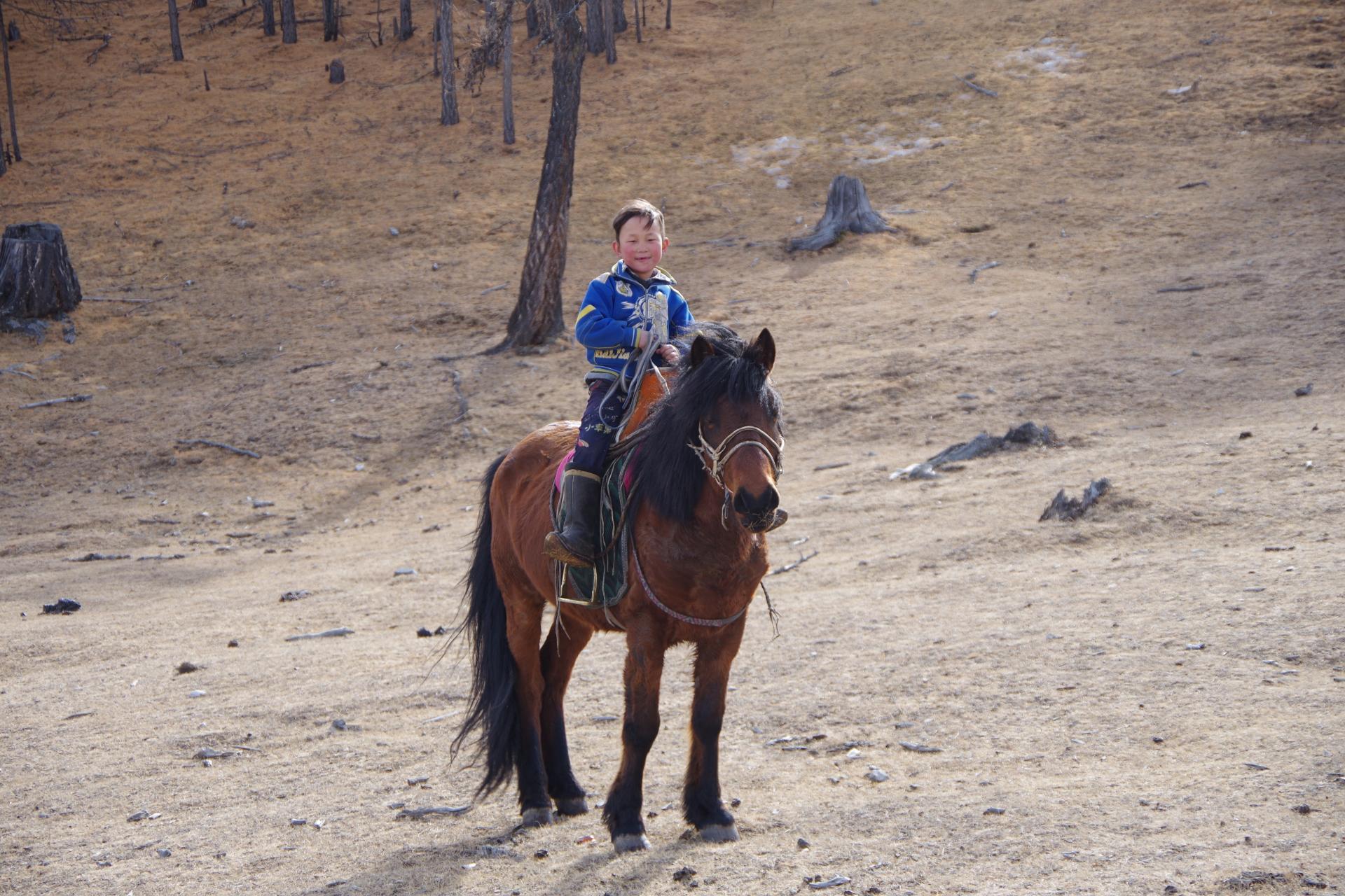 Timit horseman