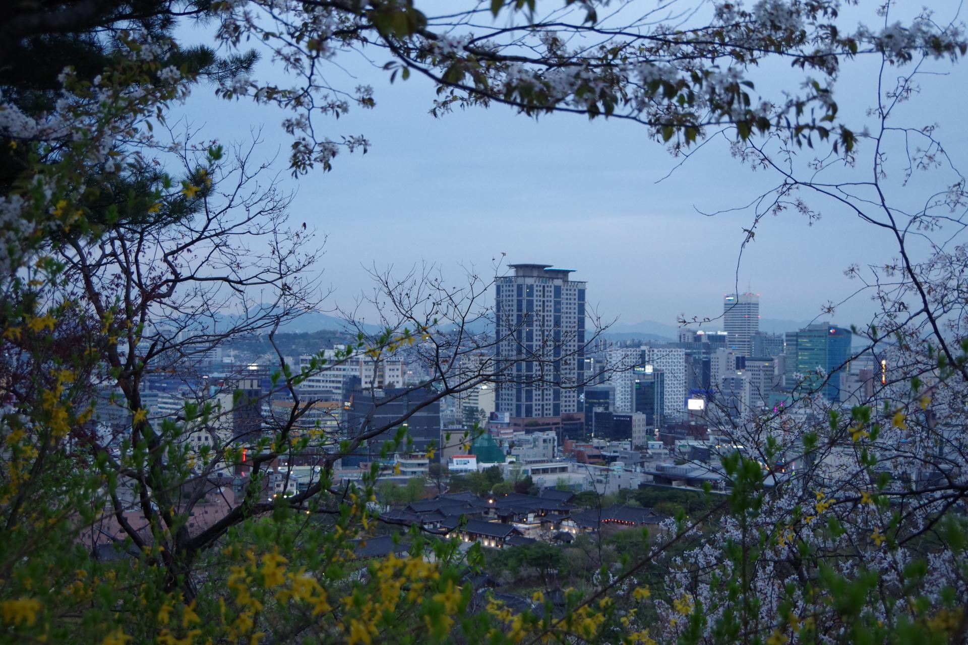 Seoul walk