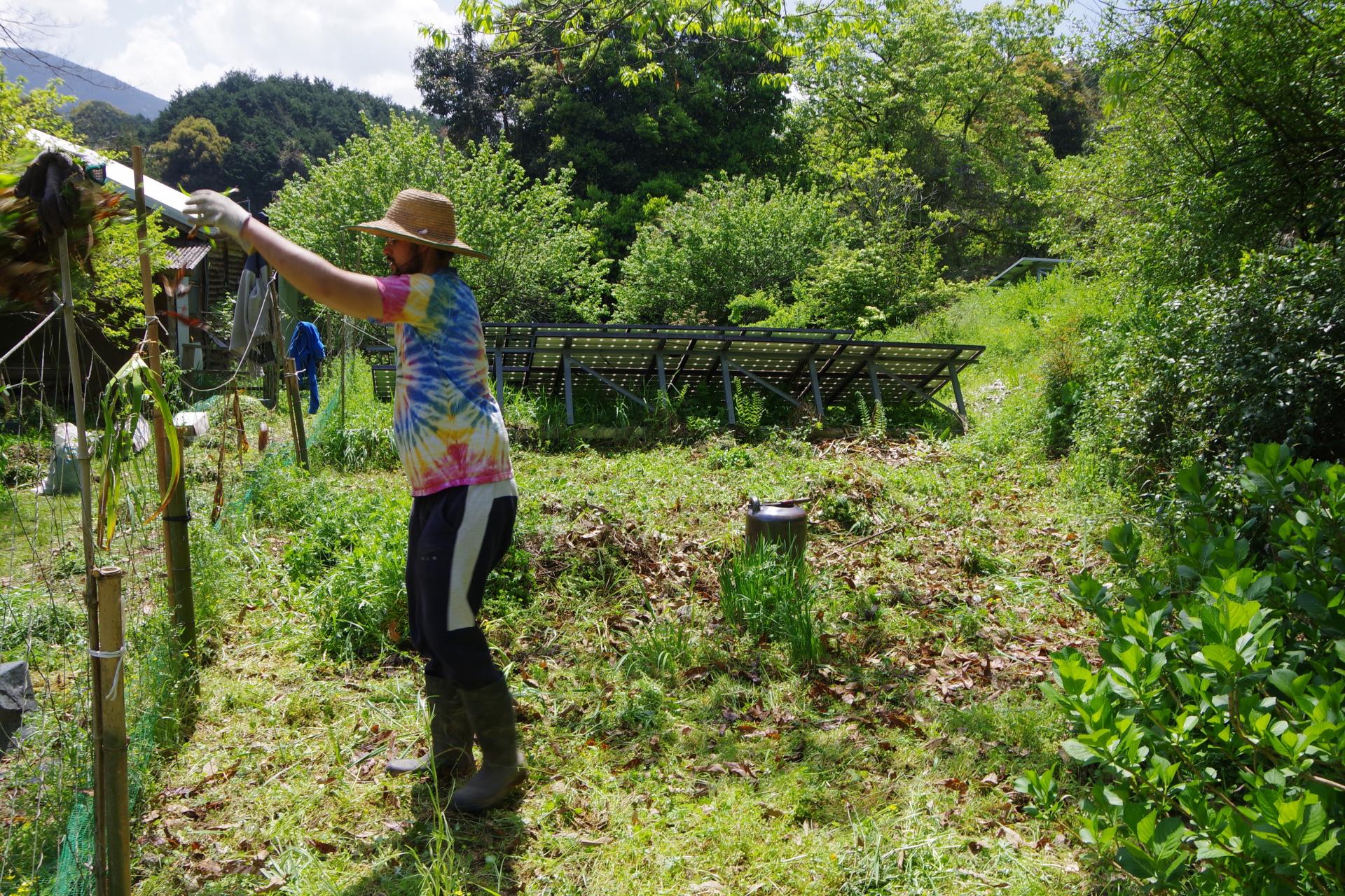 Kamiyamada farm