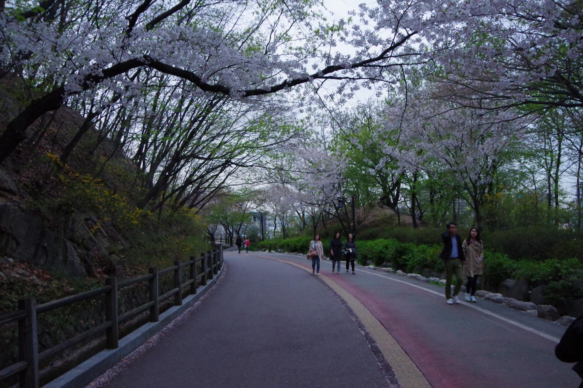 Seoul walk