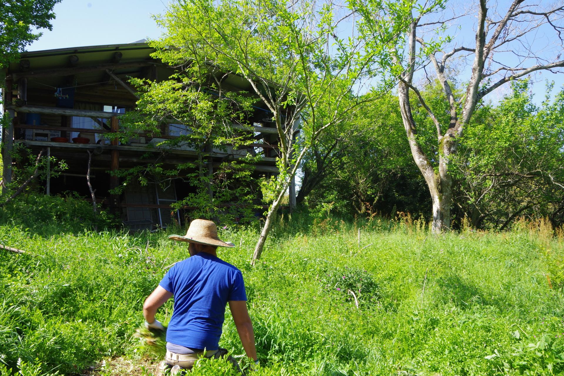 Kamiyamada farm