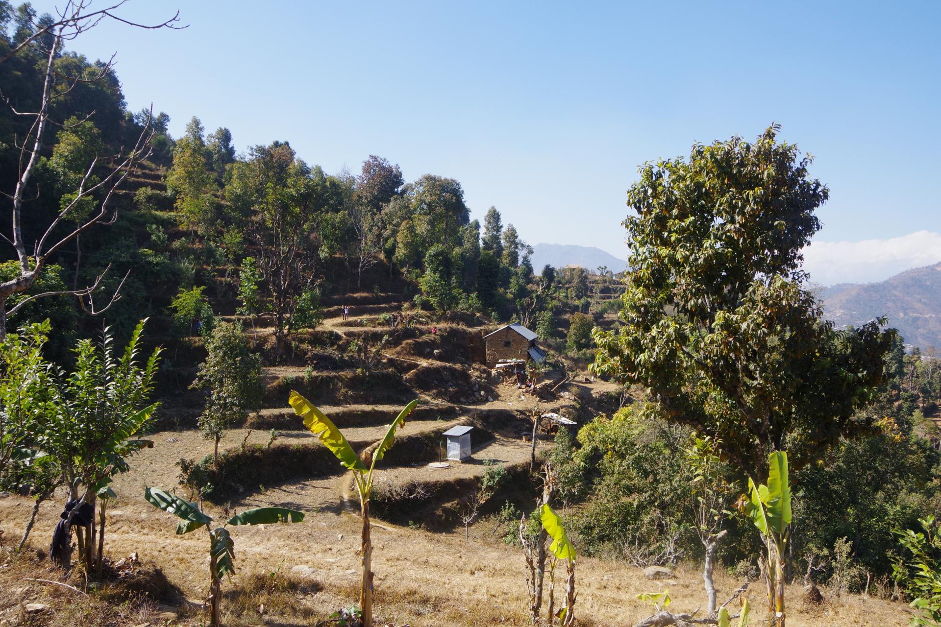 Patiswara
