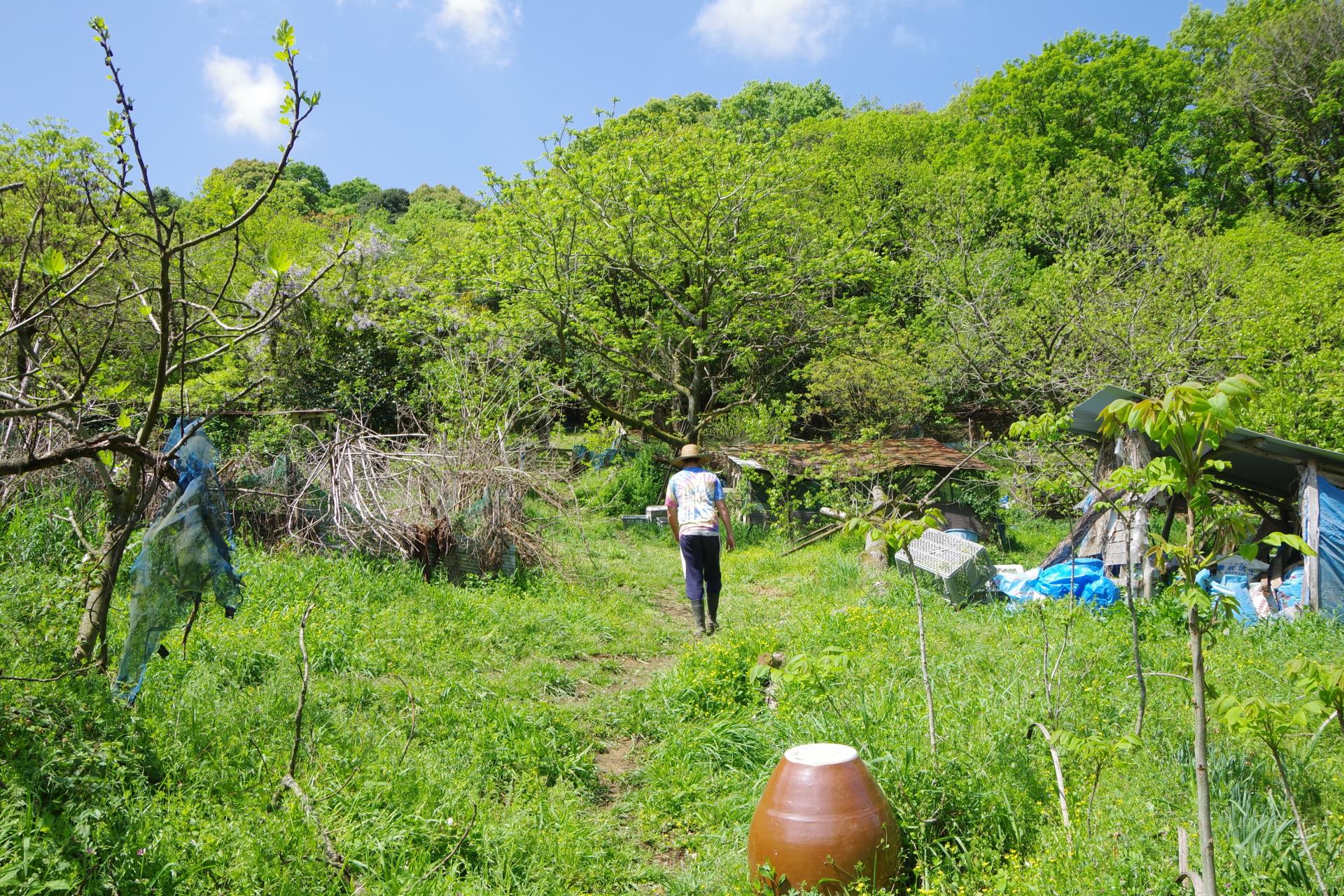 Kamiyamada farm