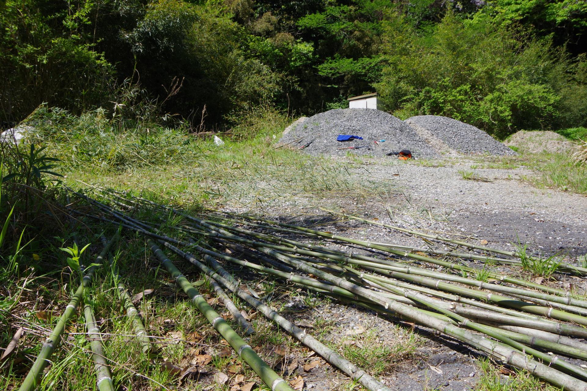 Kamiyamada bamboos