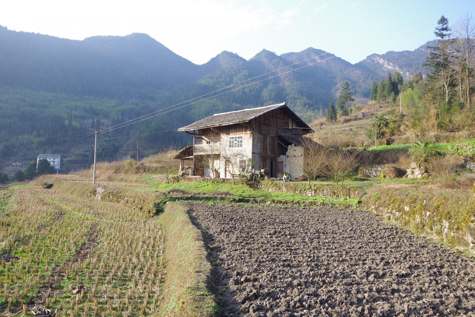 Yang House