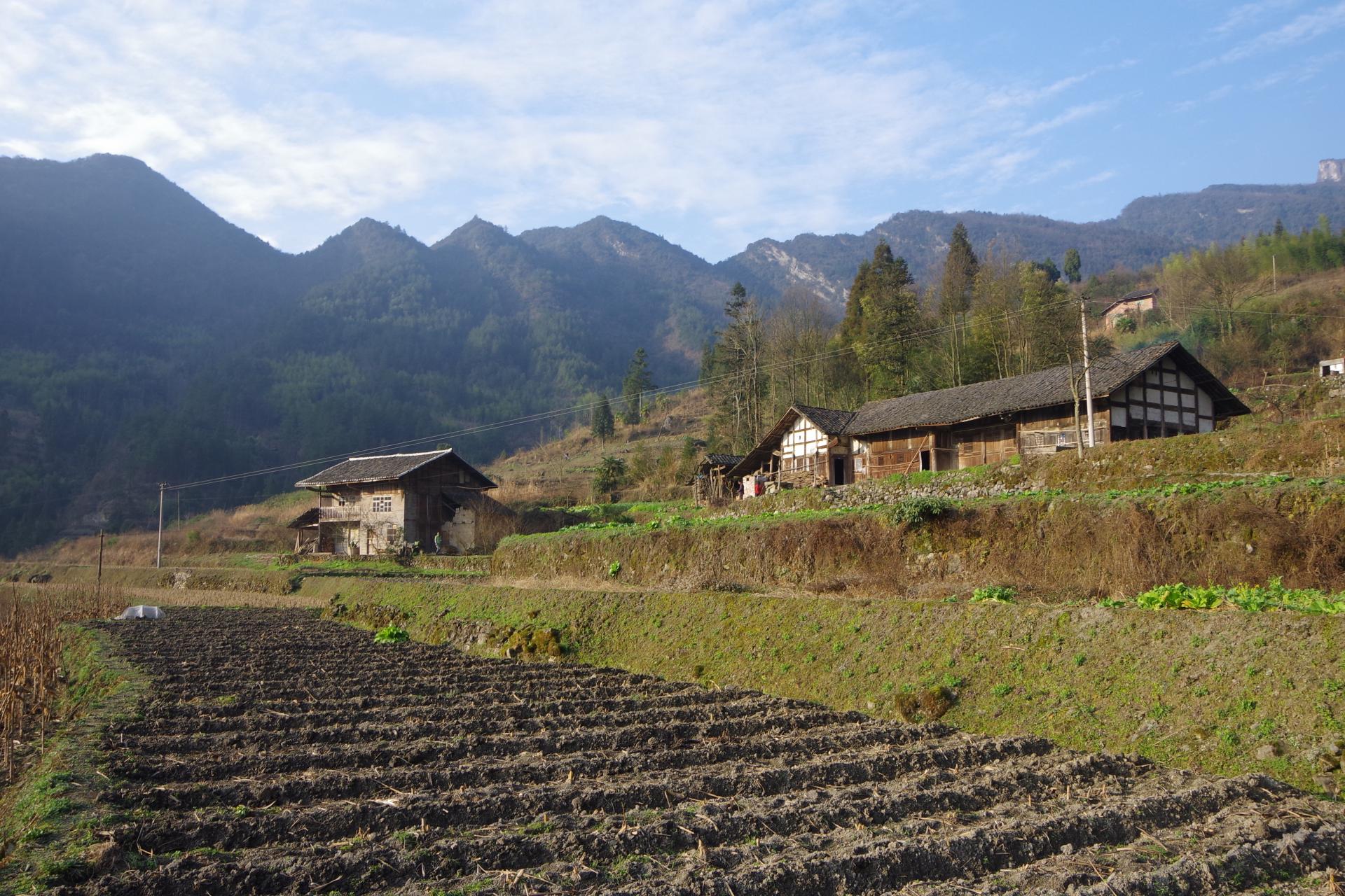 Caijiagou
