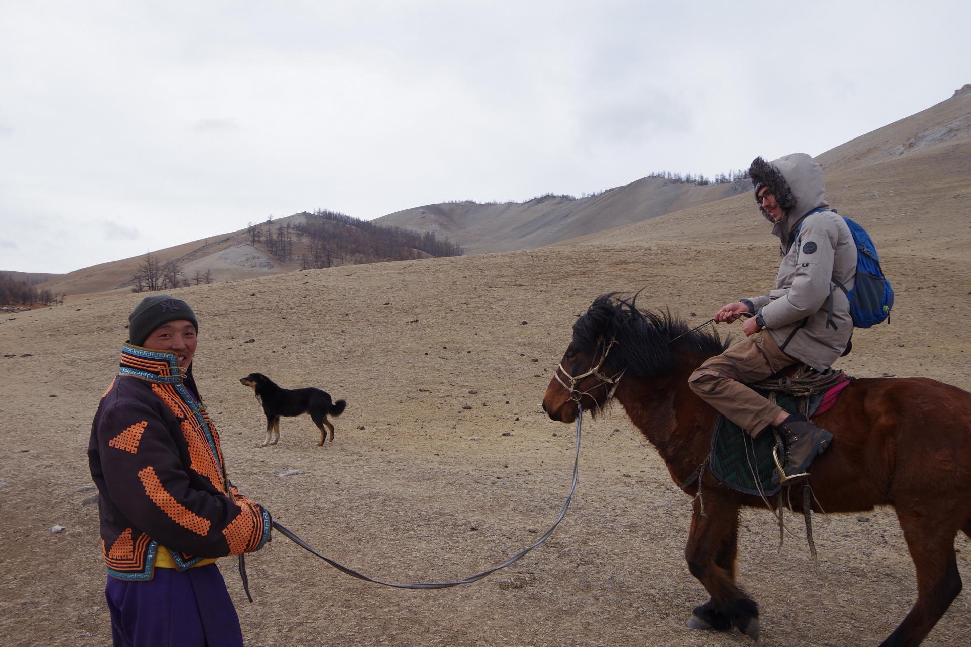 Mongolian sheperd