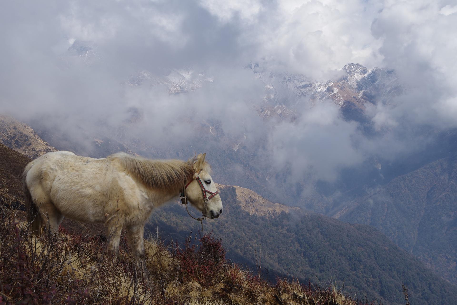 Mardi Himal