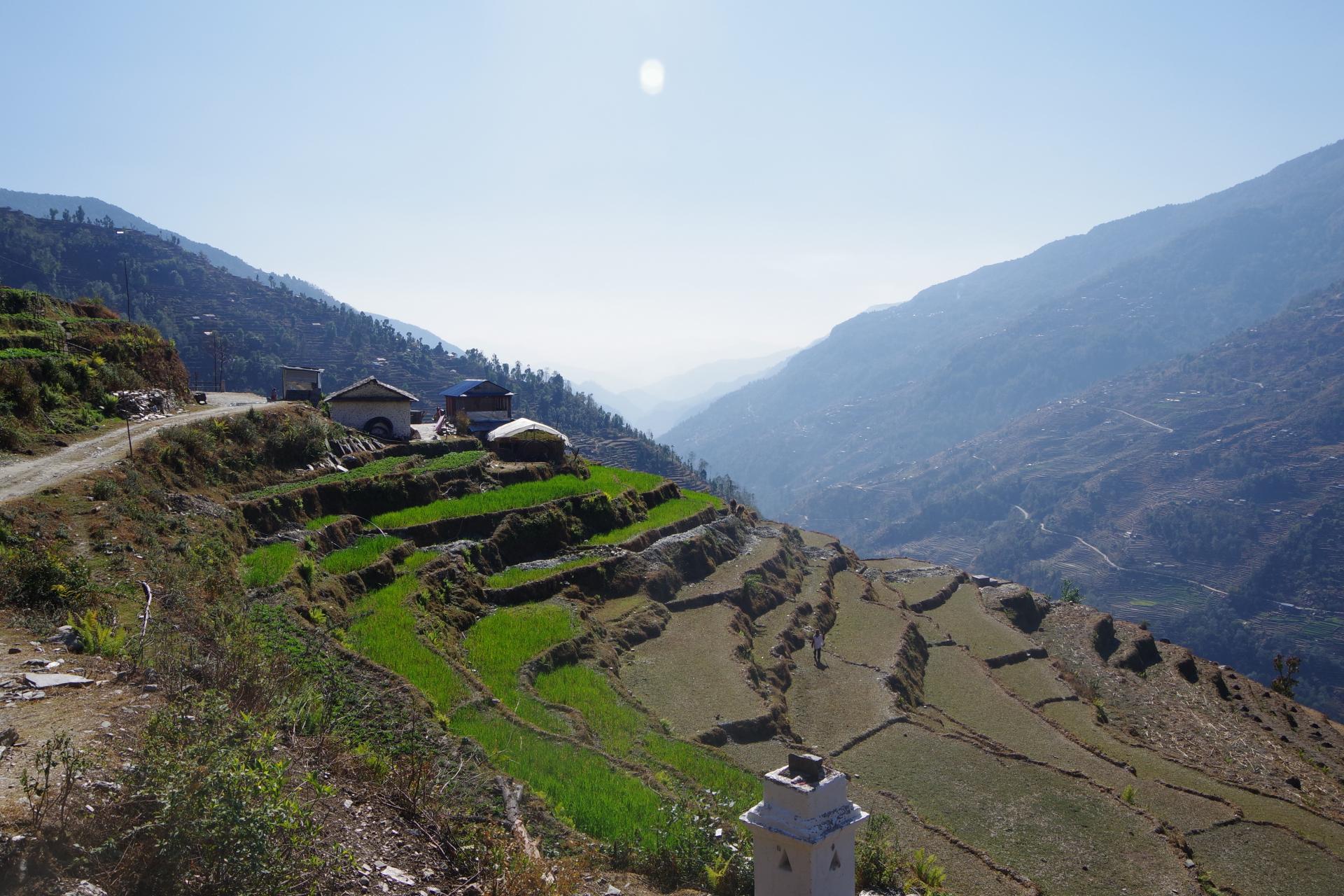 Mardi Himal 45