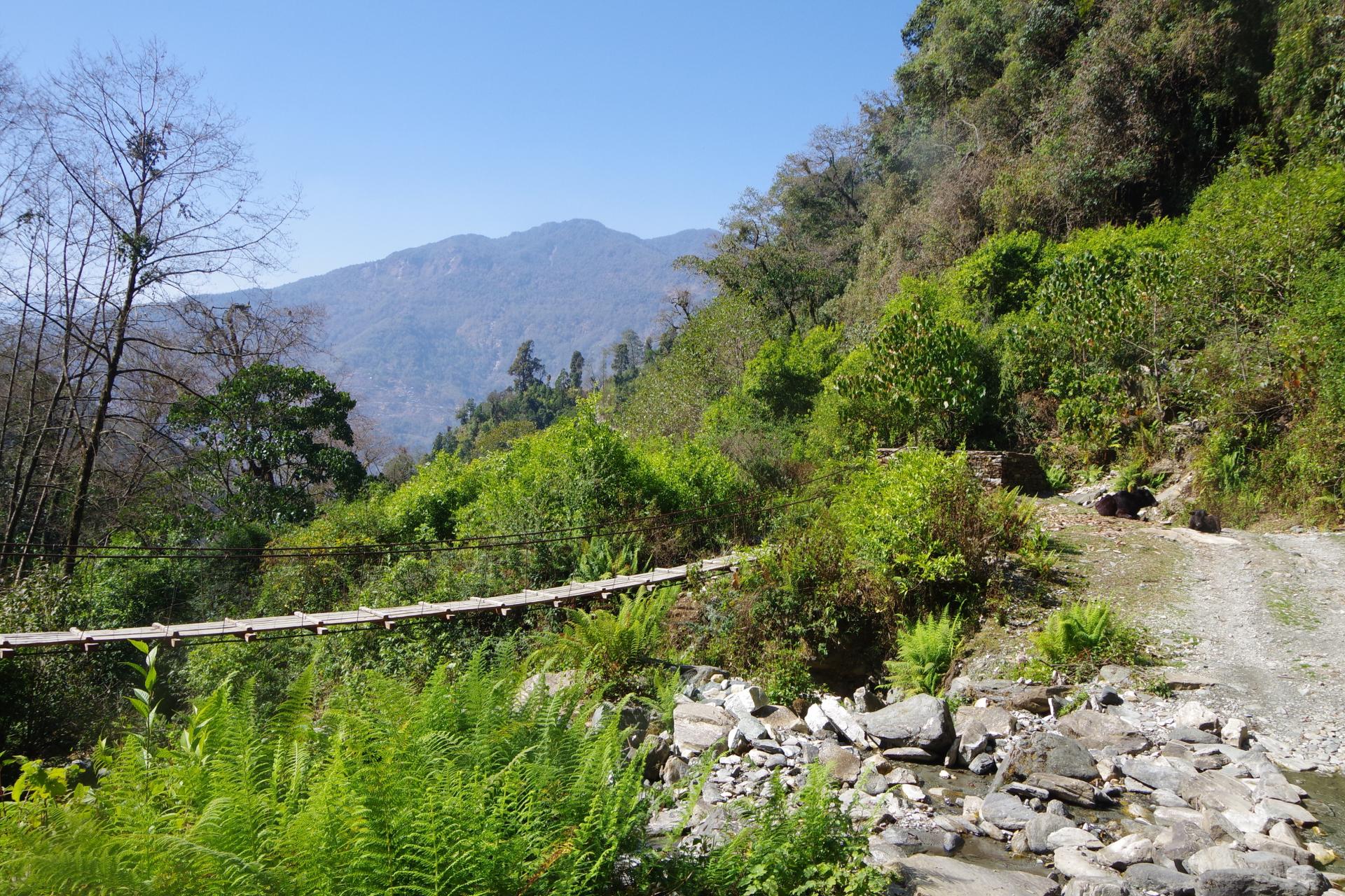 Mardi Himal 45