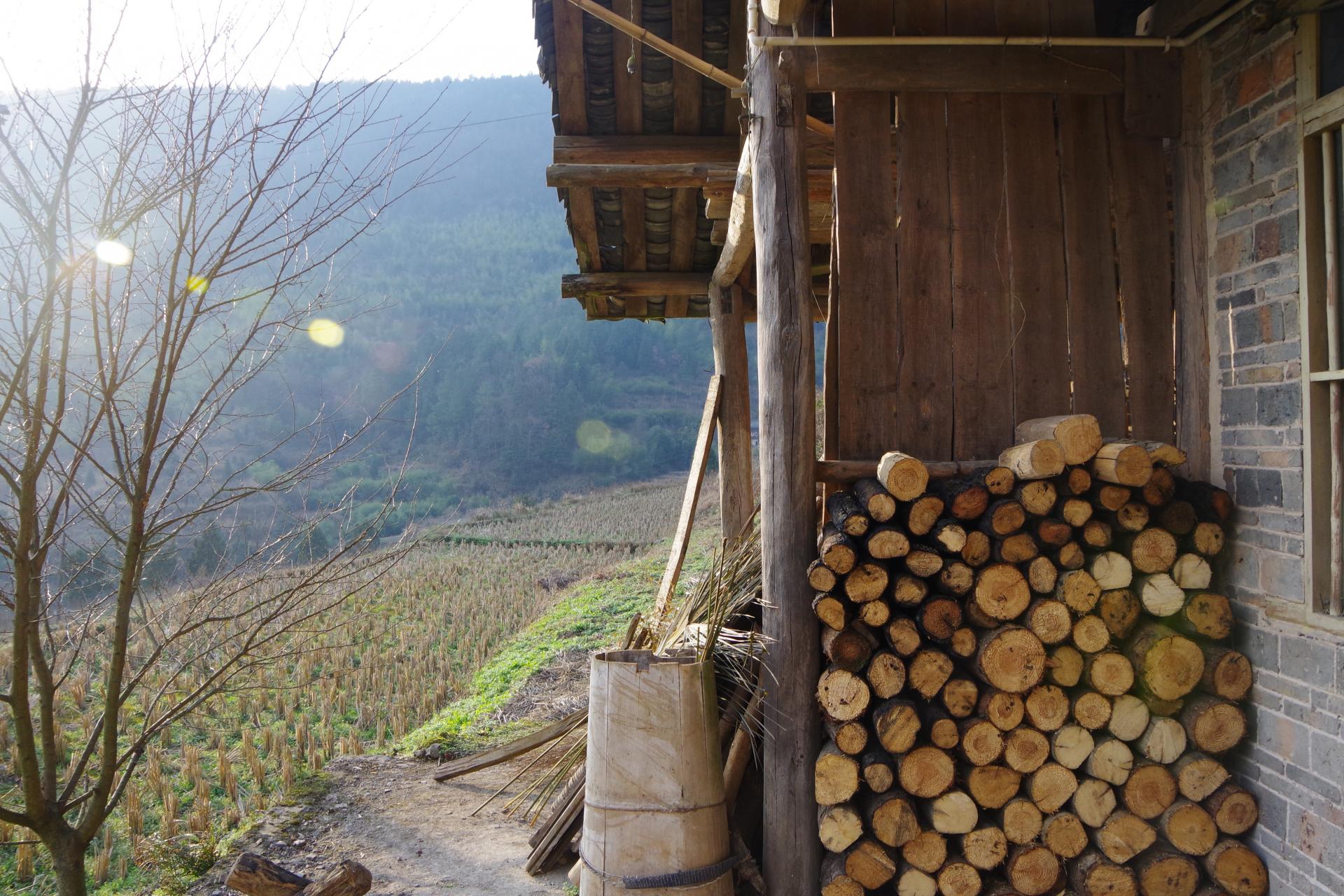 Caijiagou yang farm