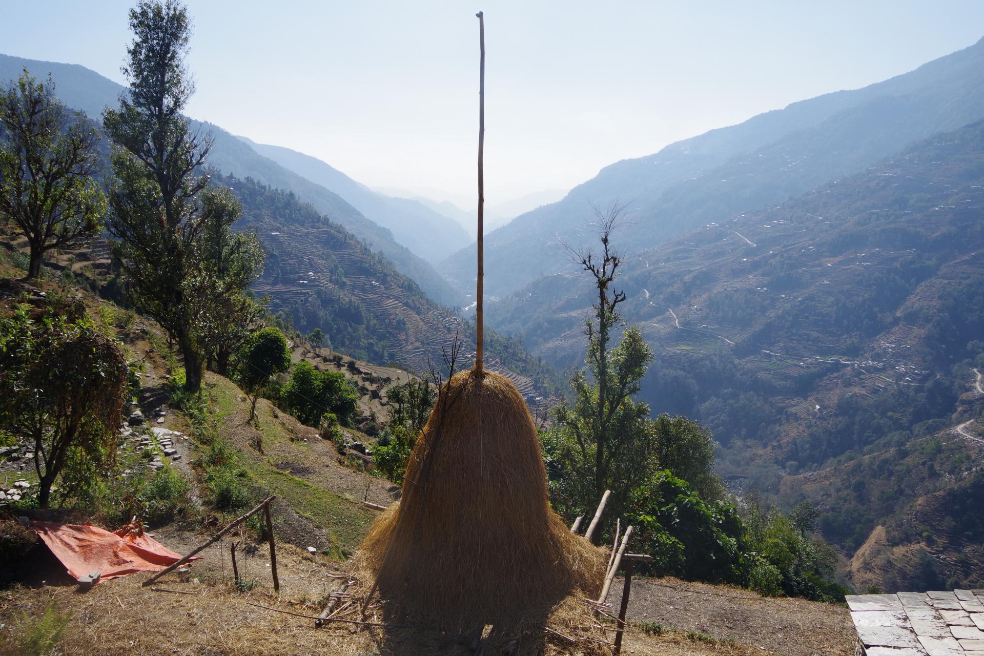Mardi Himal 47
