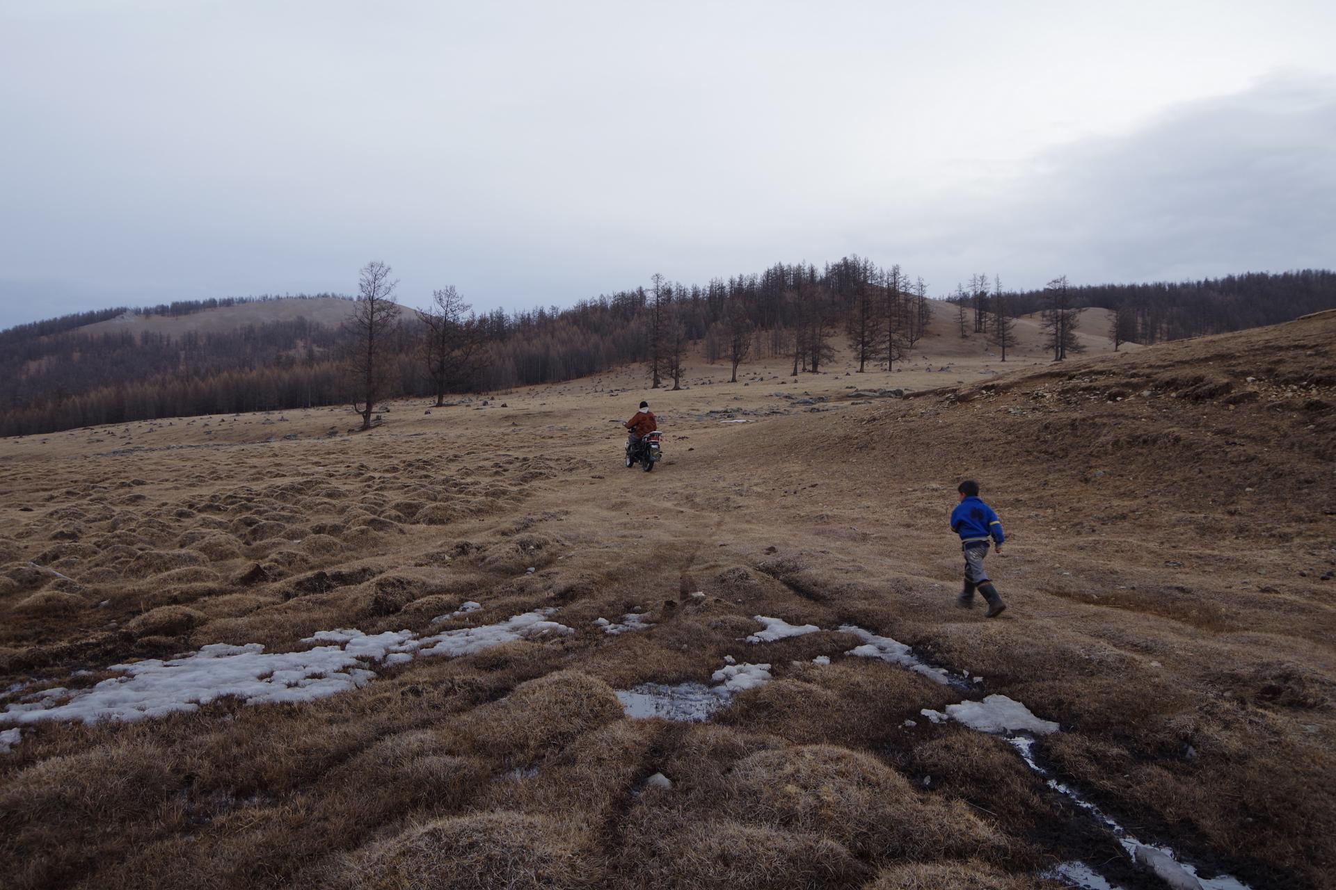 mongolian rider hatgal farm