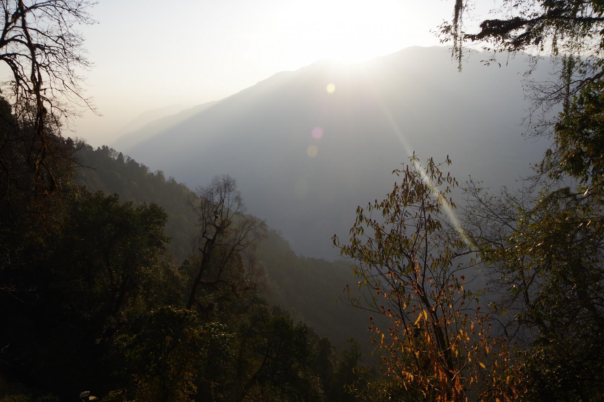 Mardi Himal Forest Camp