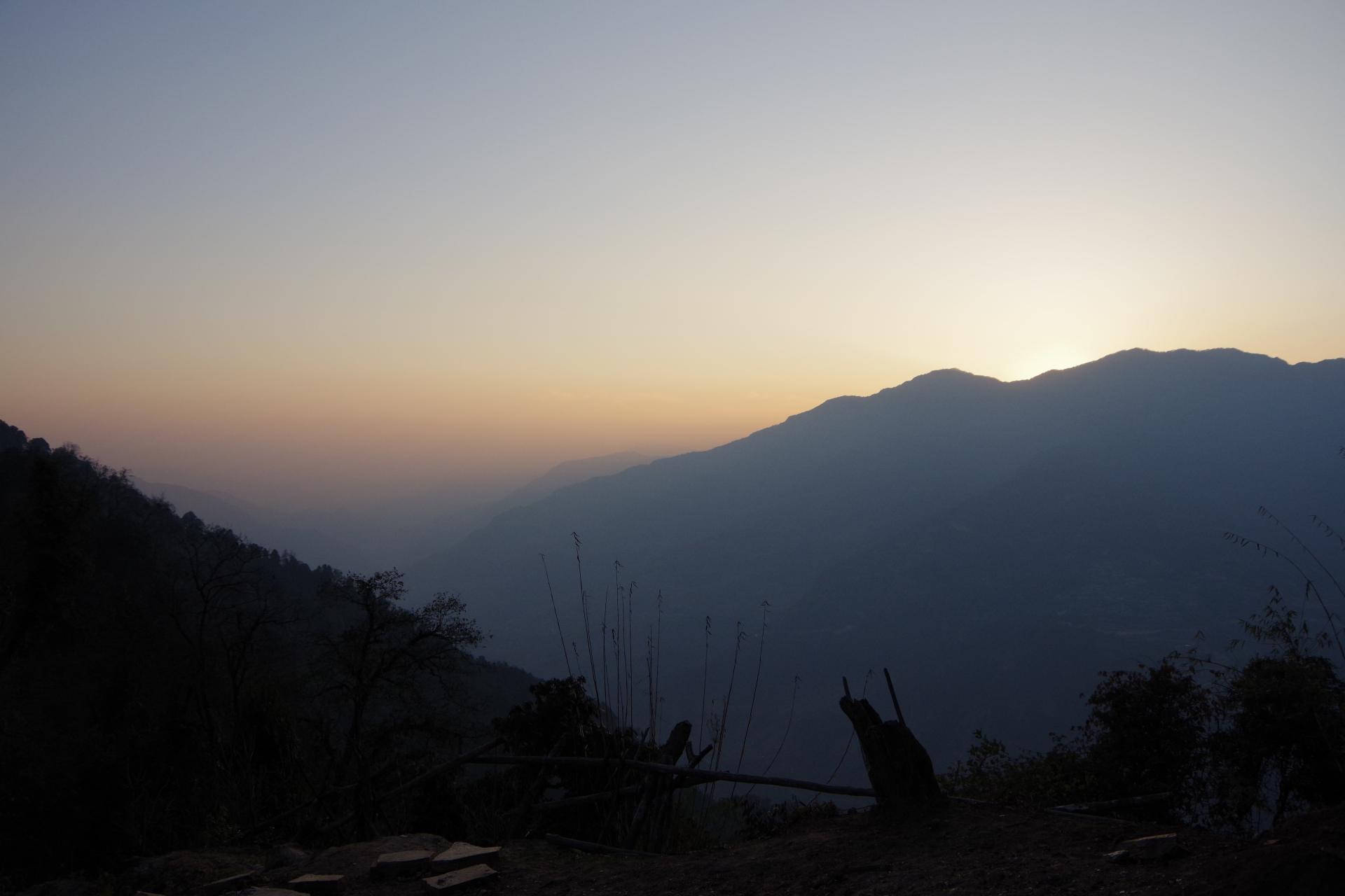 Mardi Himal Forest Camp