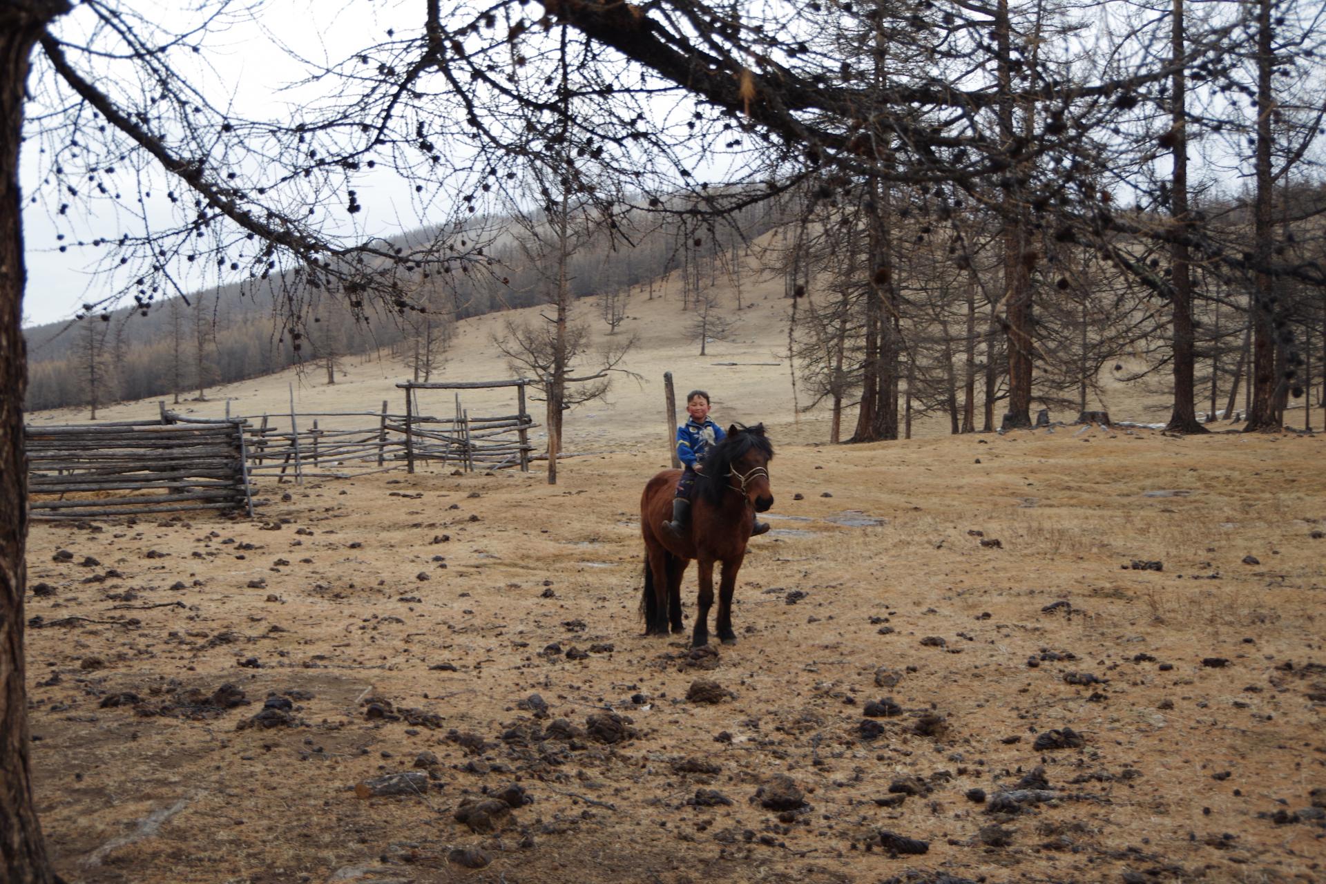 Timit horseman