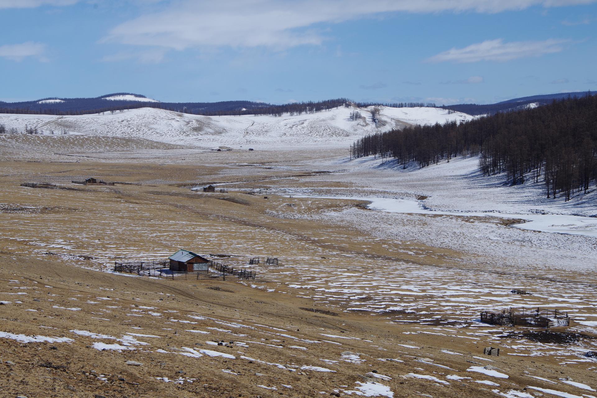 Hatgal farm snow
