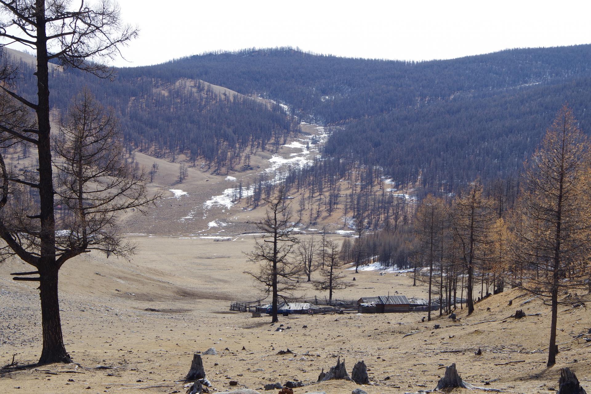 Hatgal farm