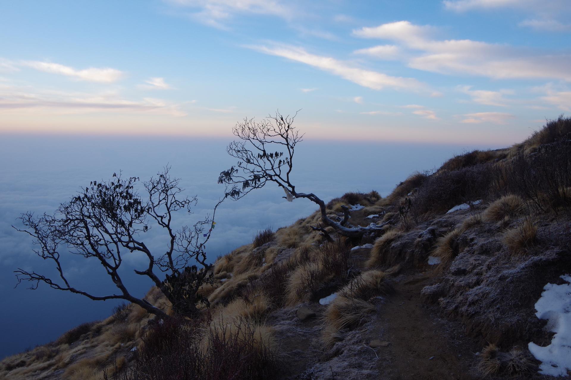 Mardi Himal 59