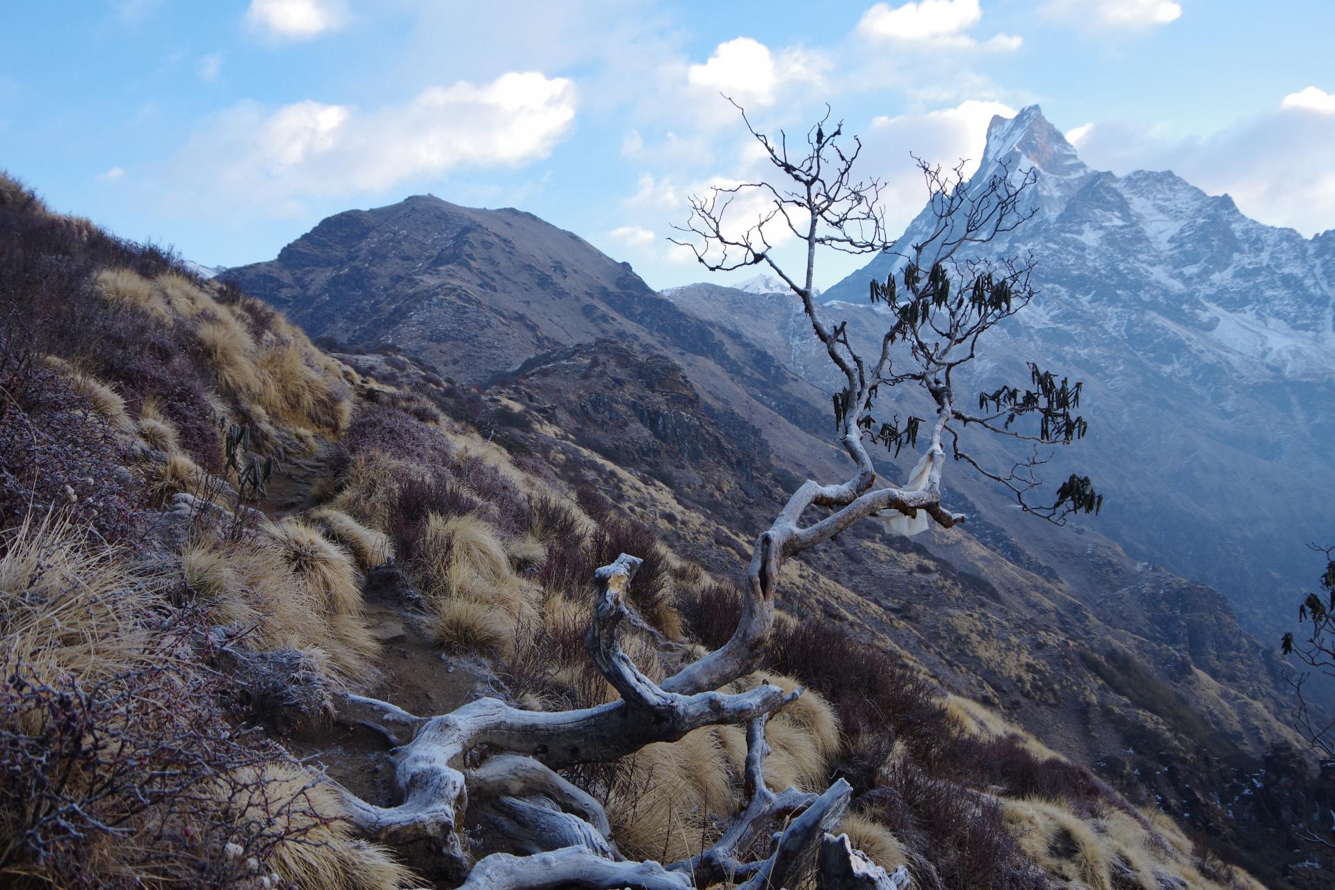Mardi Himal 59