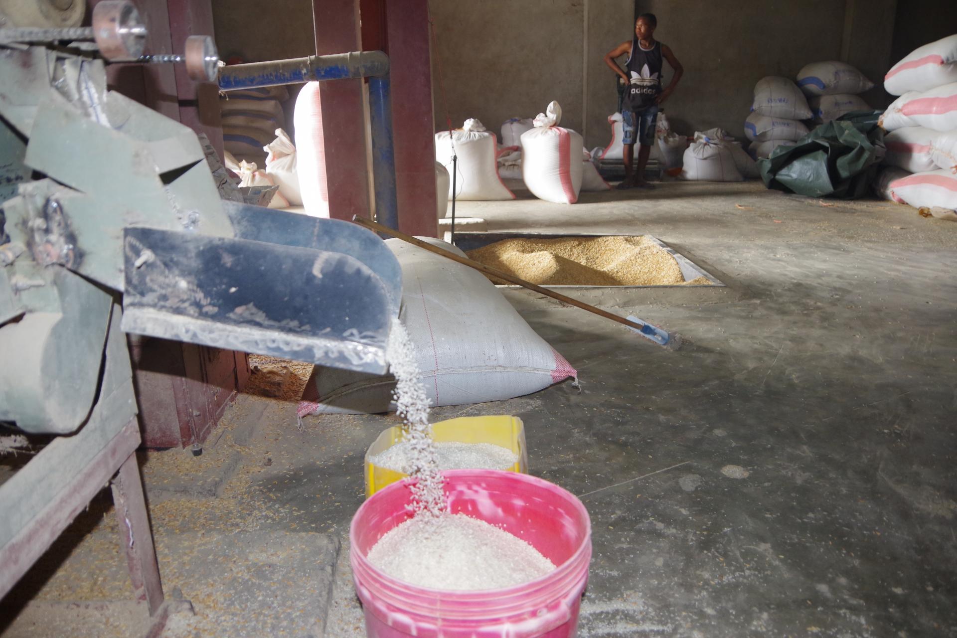 Fabrication de riz