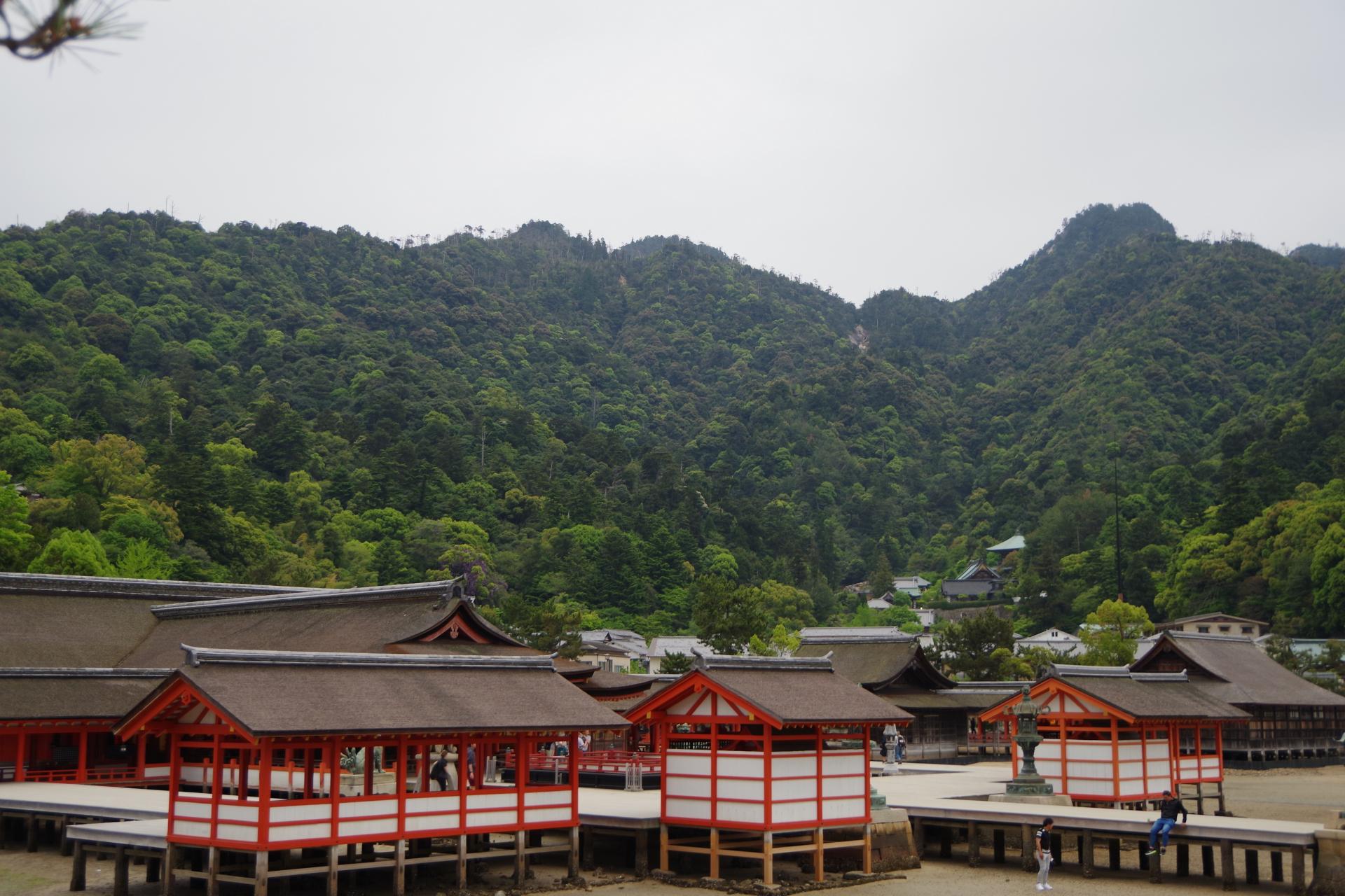 Miyajima island itsukushima