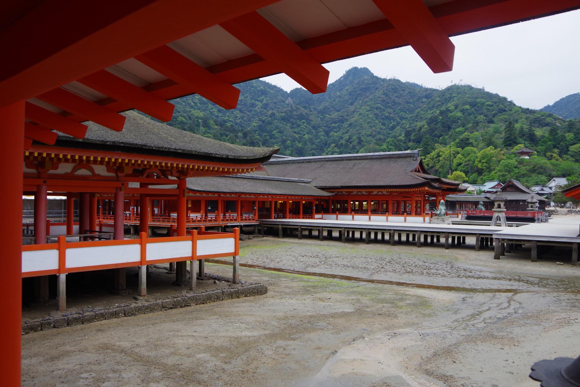 Miyajima island itsukushi