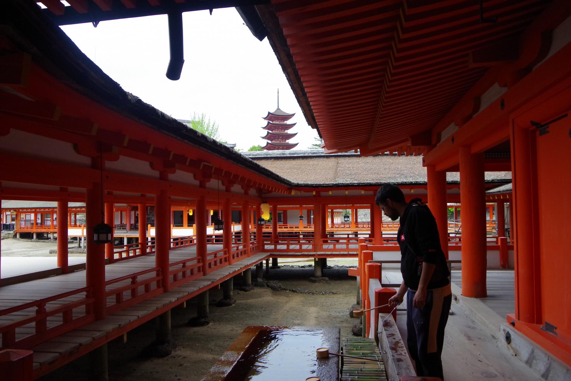 Miyajima island itsukushima