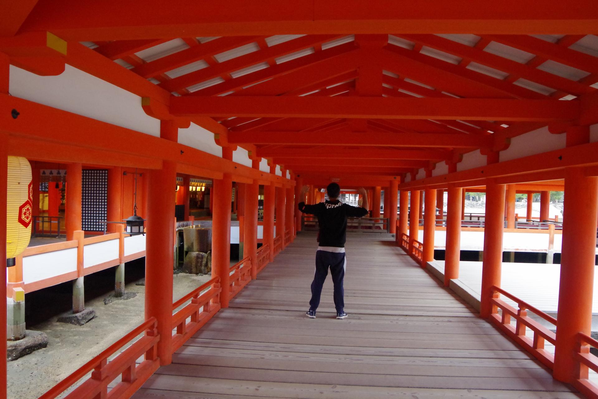 Miyajima island itsukushima