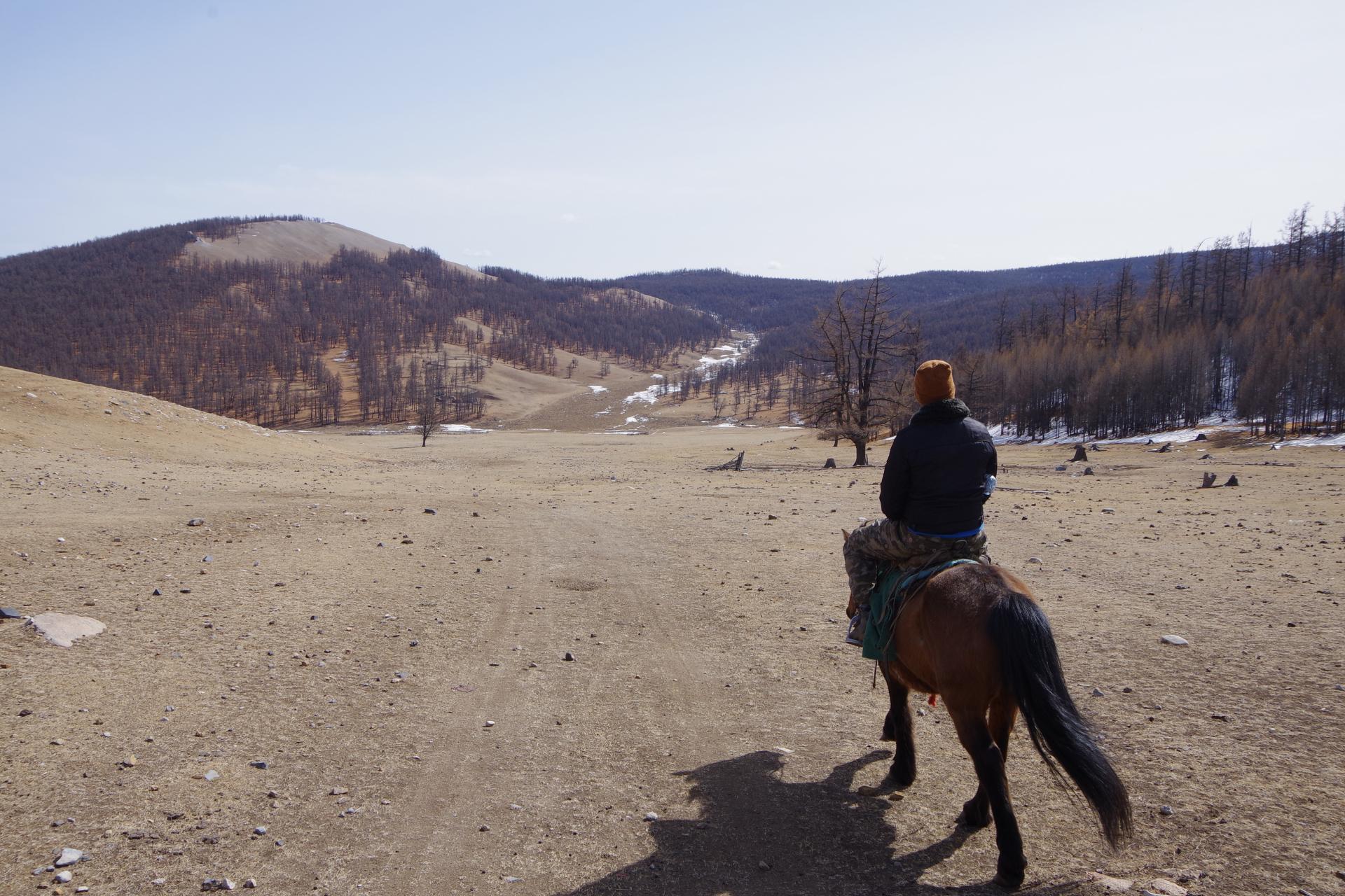 Khalid horseman