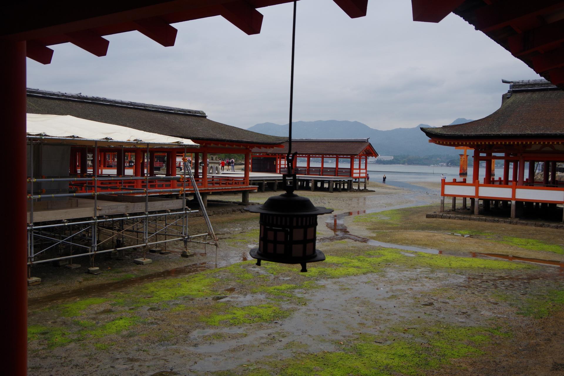 Miyajima island itsukushima