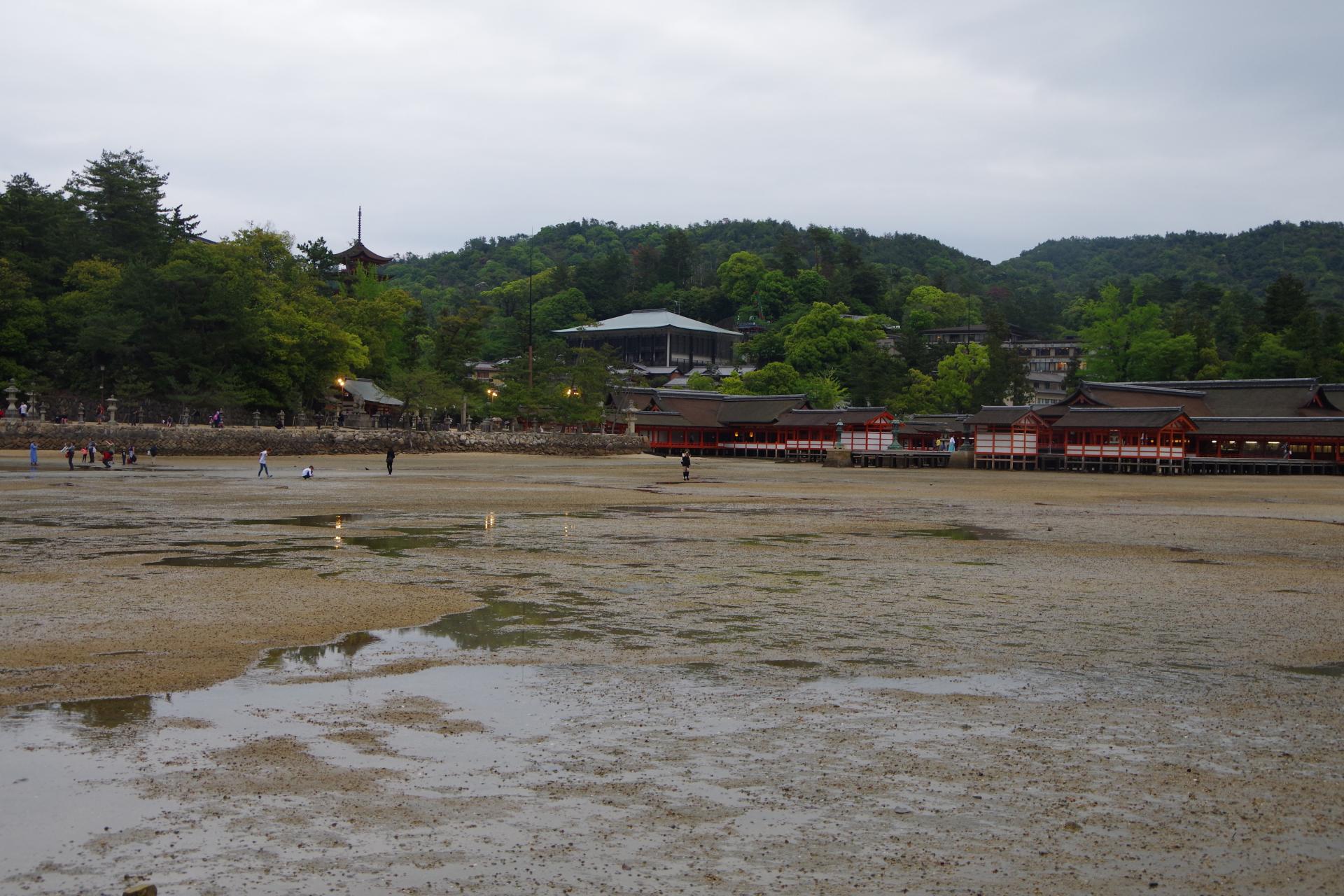 Miyajima island itsukushima