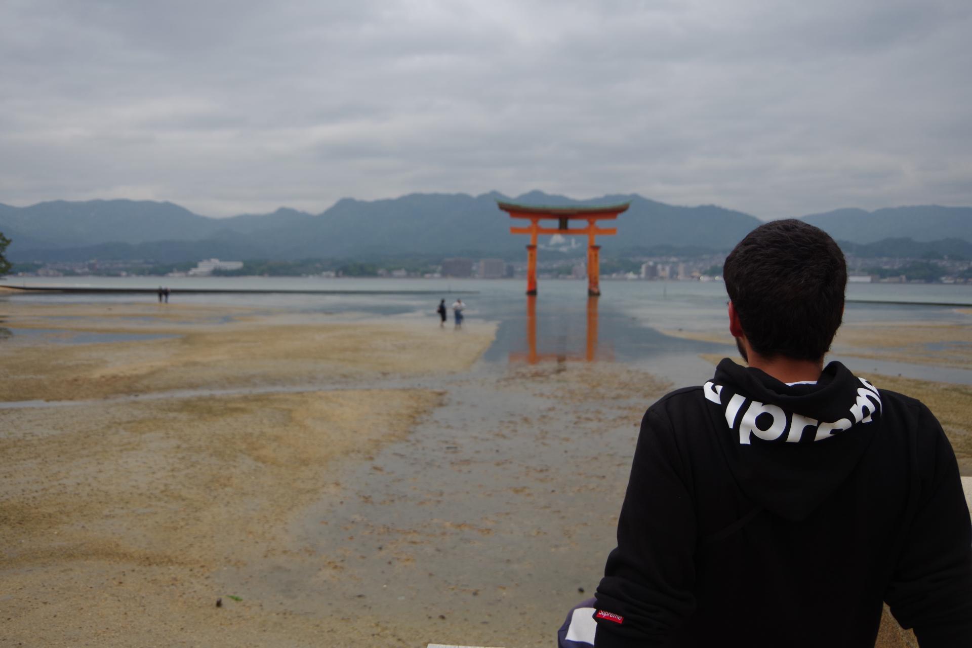 Miyajima island itsukushima
