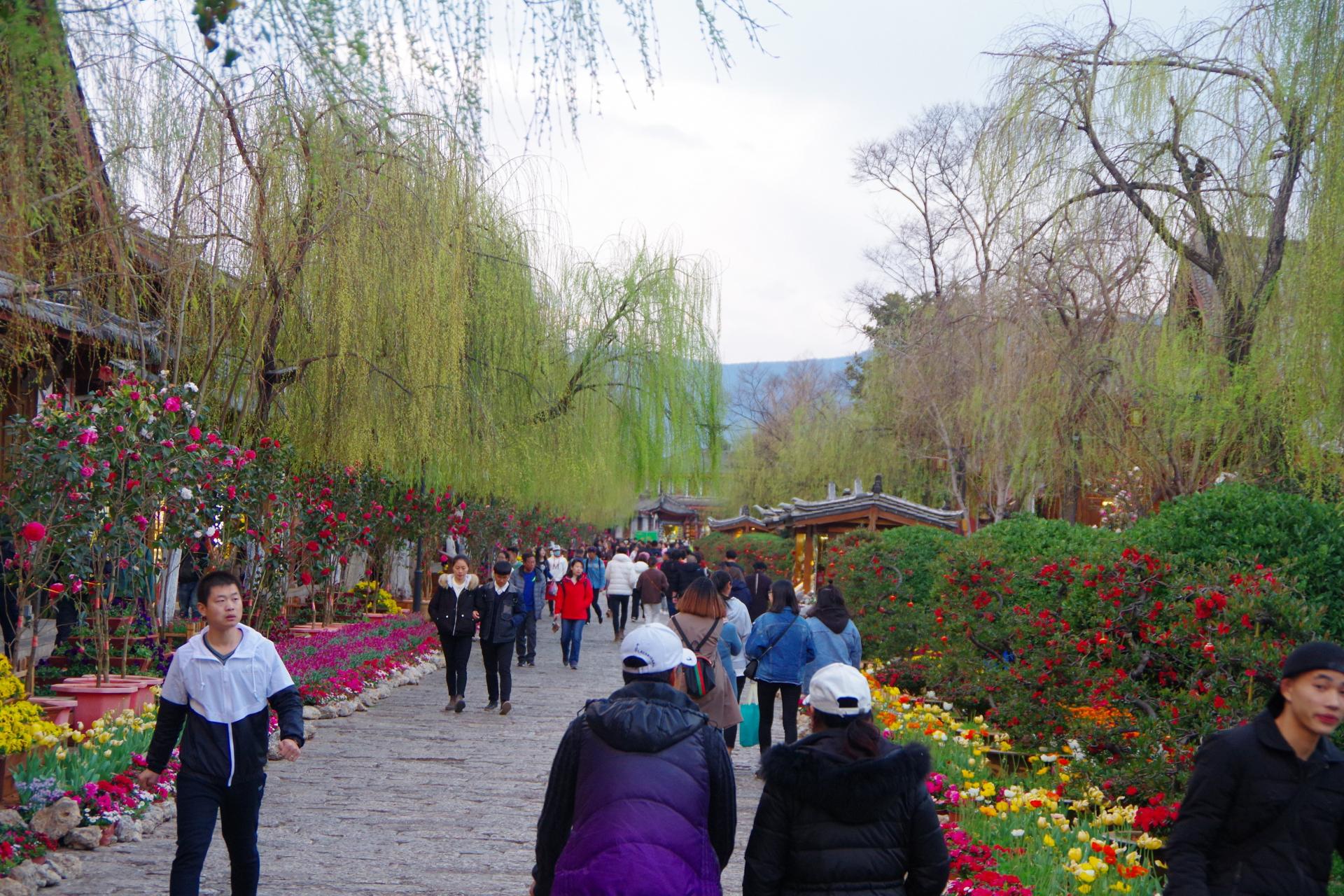Lijiang Old Town