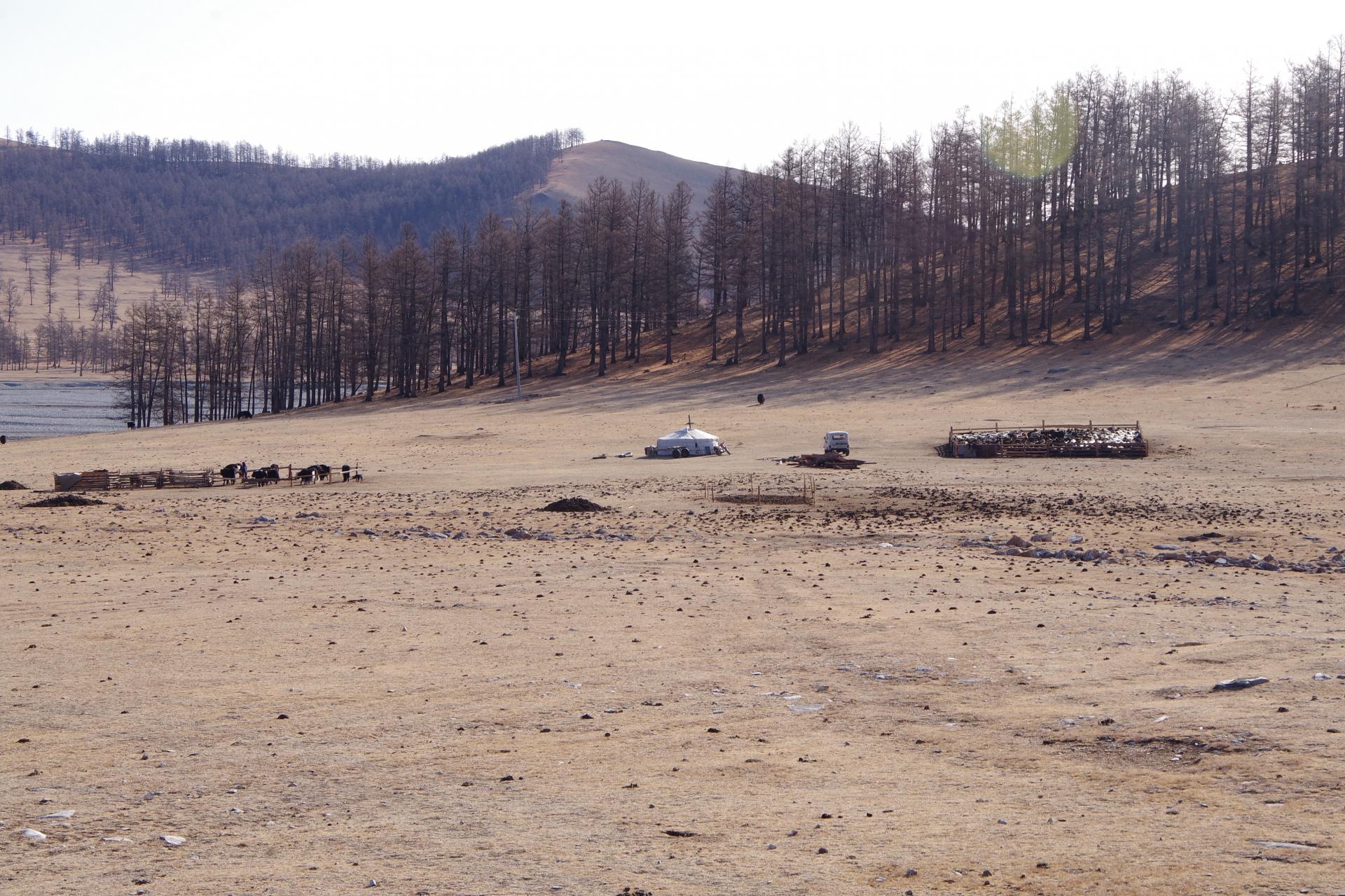 Mongolian steppe