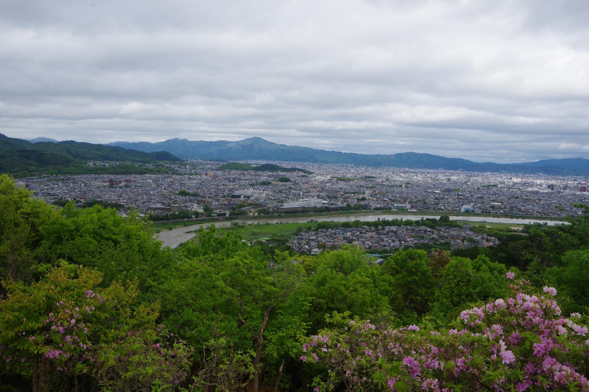 monkey park kyoto