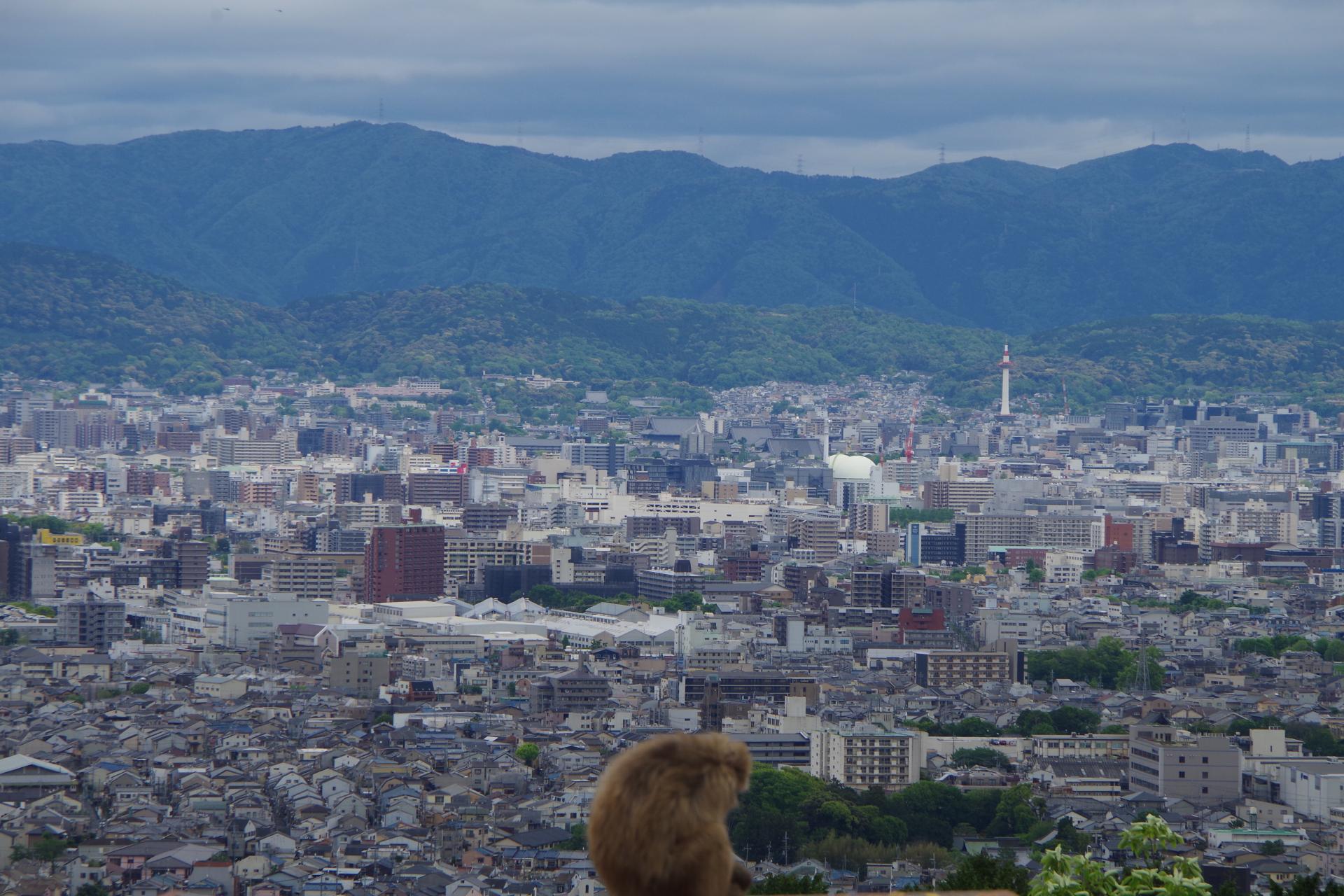 monkey park kyoto