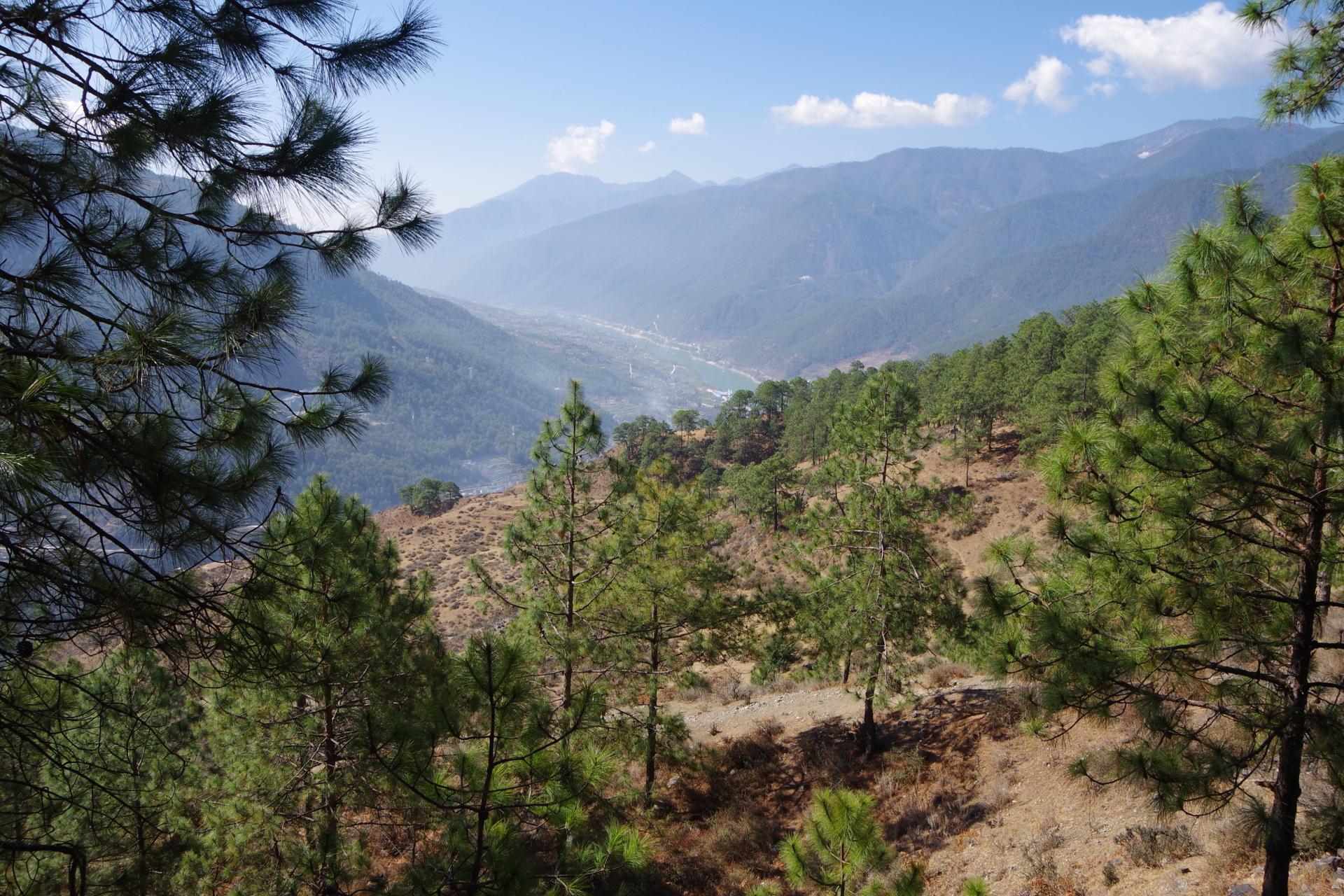 Tiger Leaping Gorges First Part