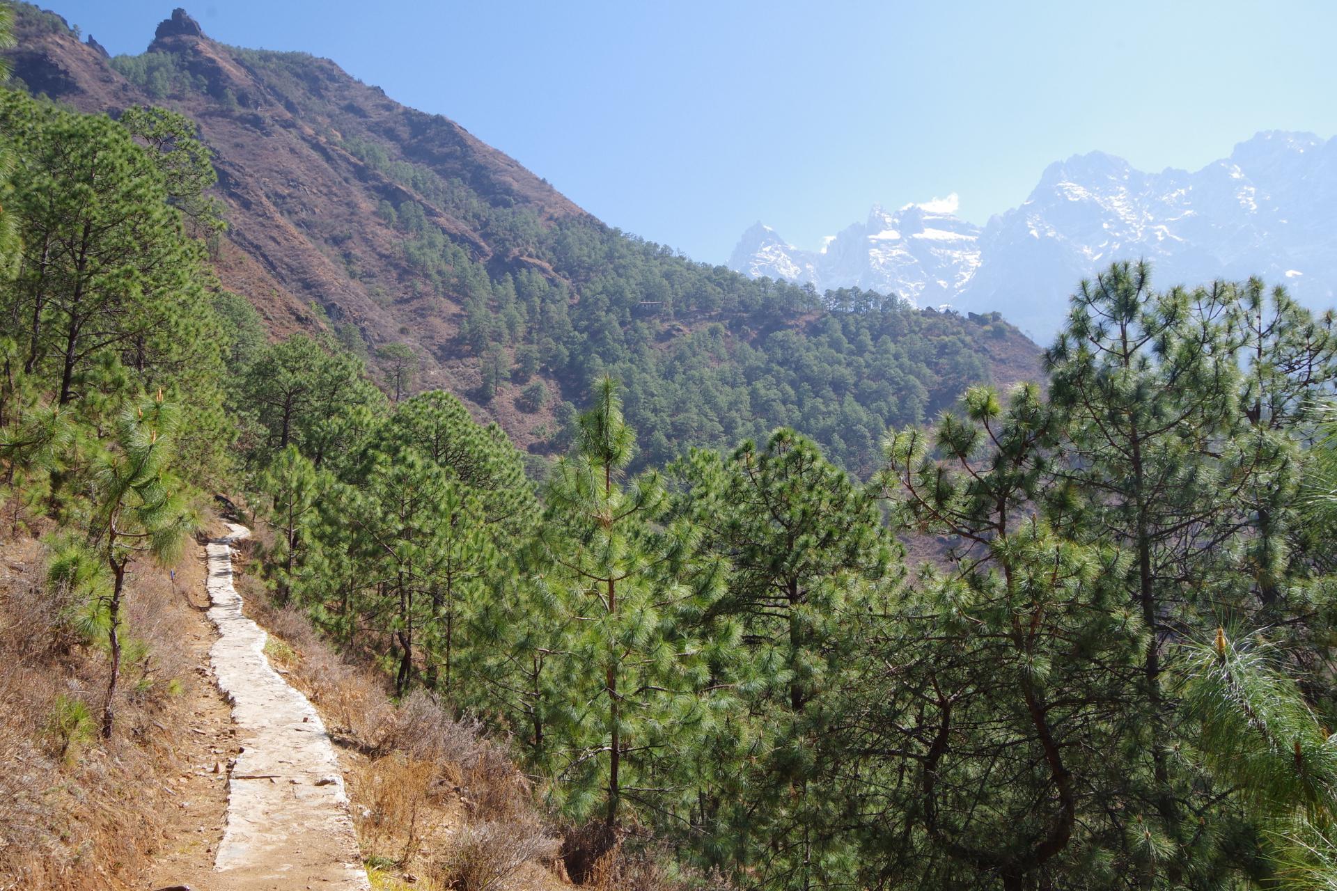 Tiger Leaping Gorges Naxi Guesthouse
