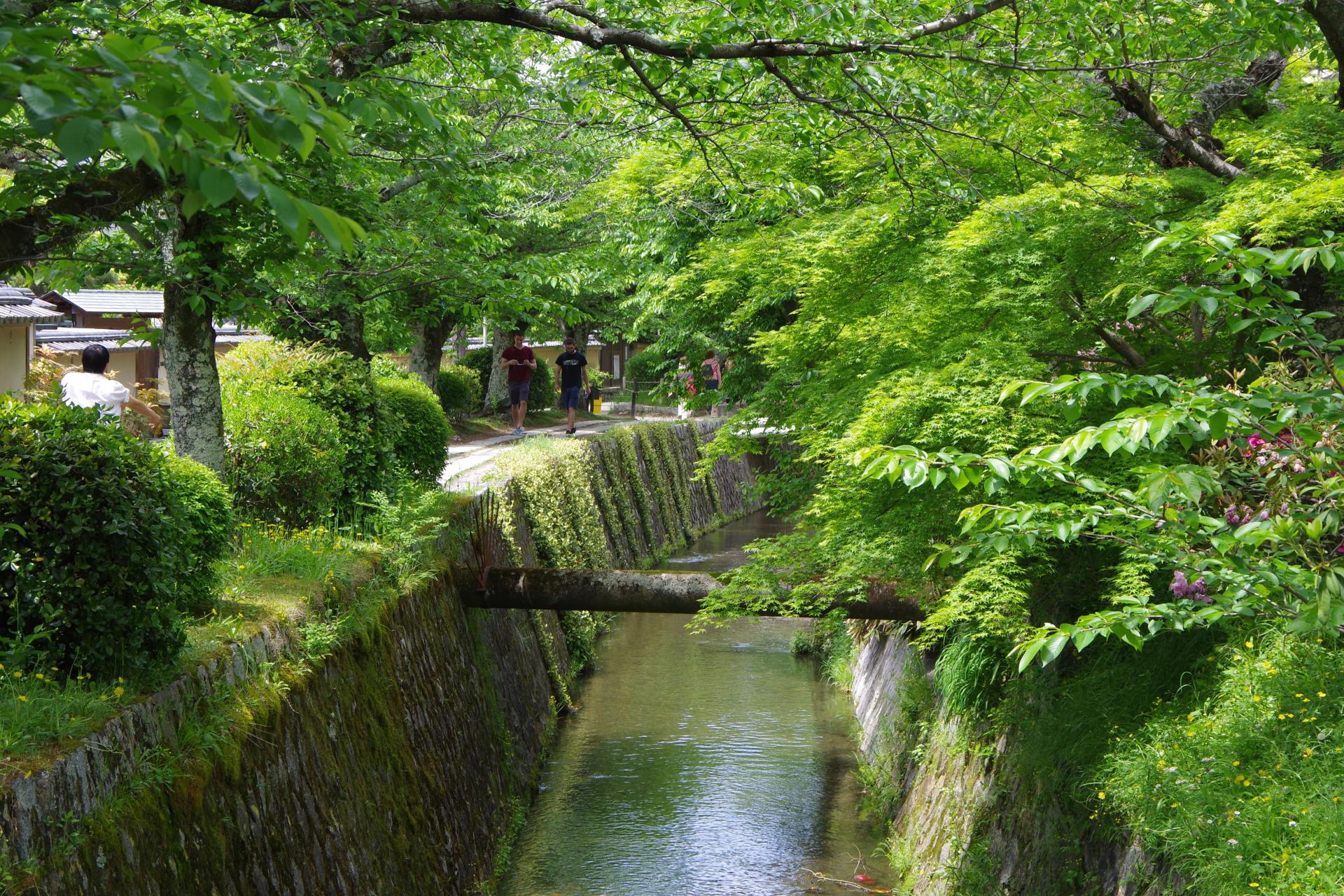Philosophy path kyoto