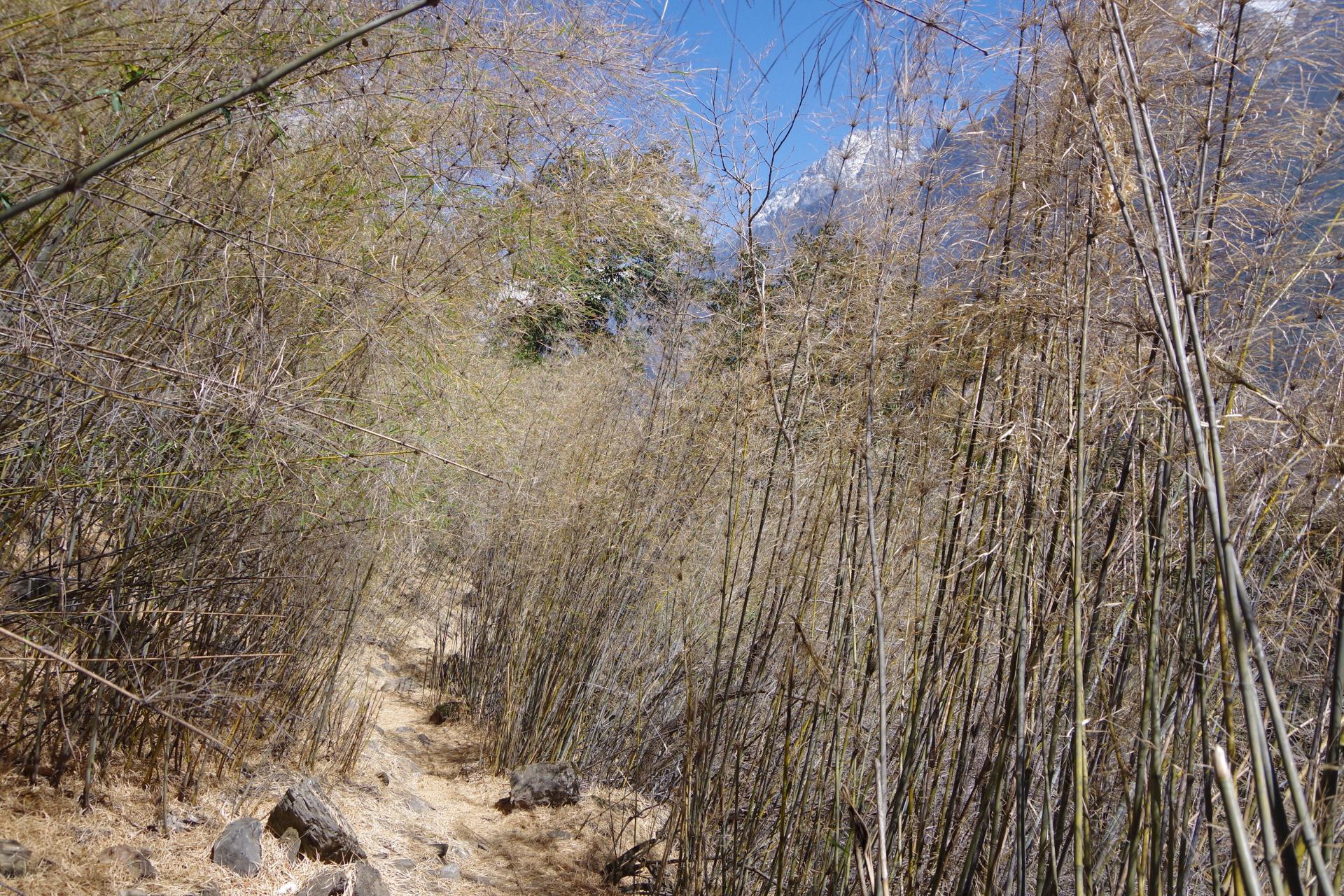 Tiger Leaping Gorges 28 bends