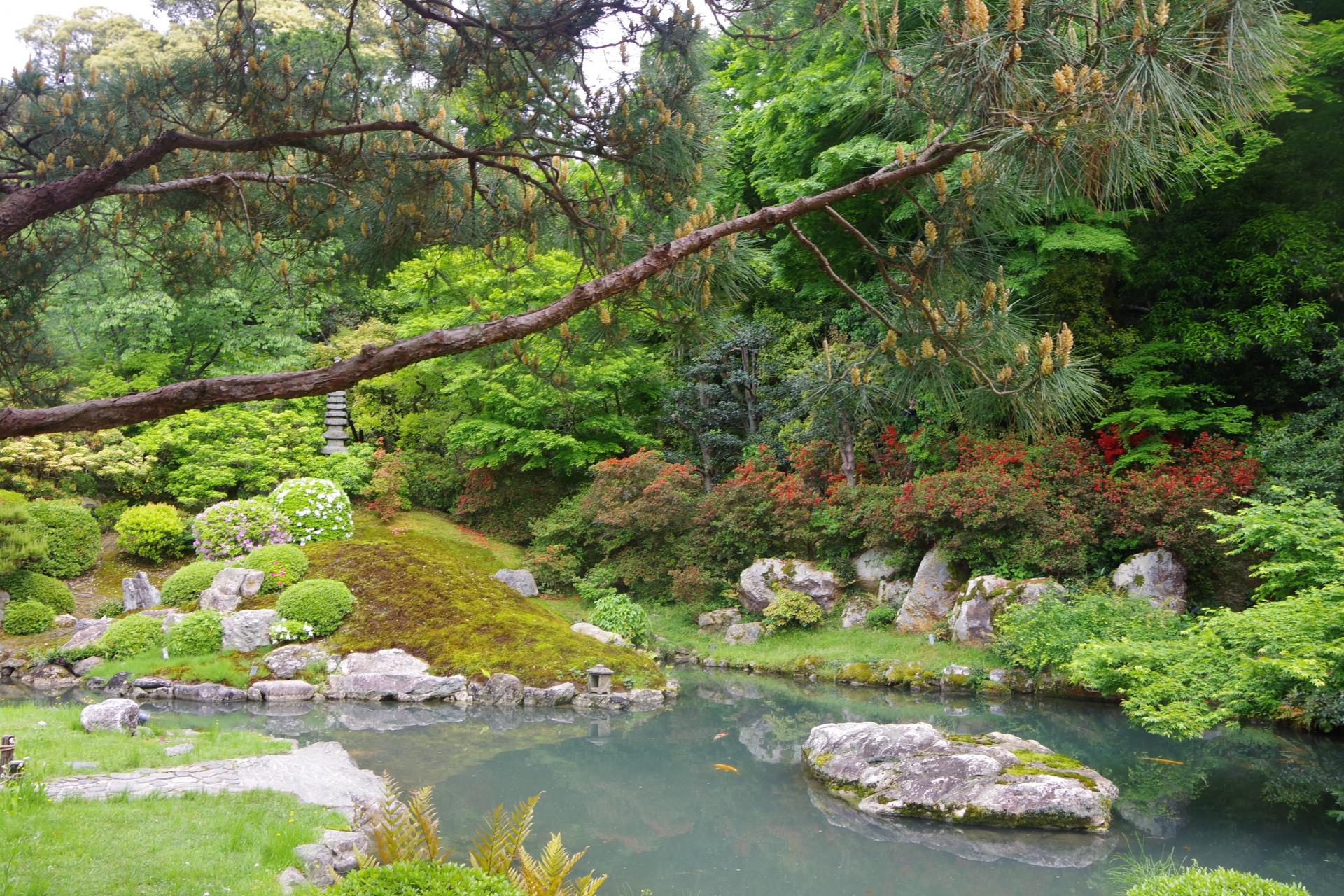 Shoren In kyoto