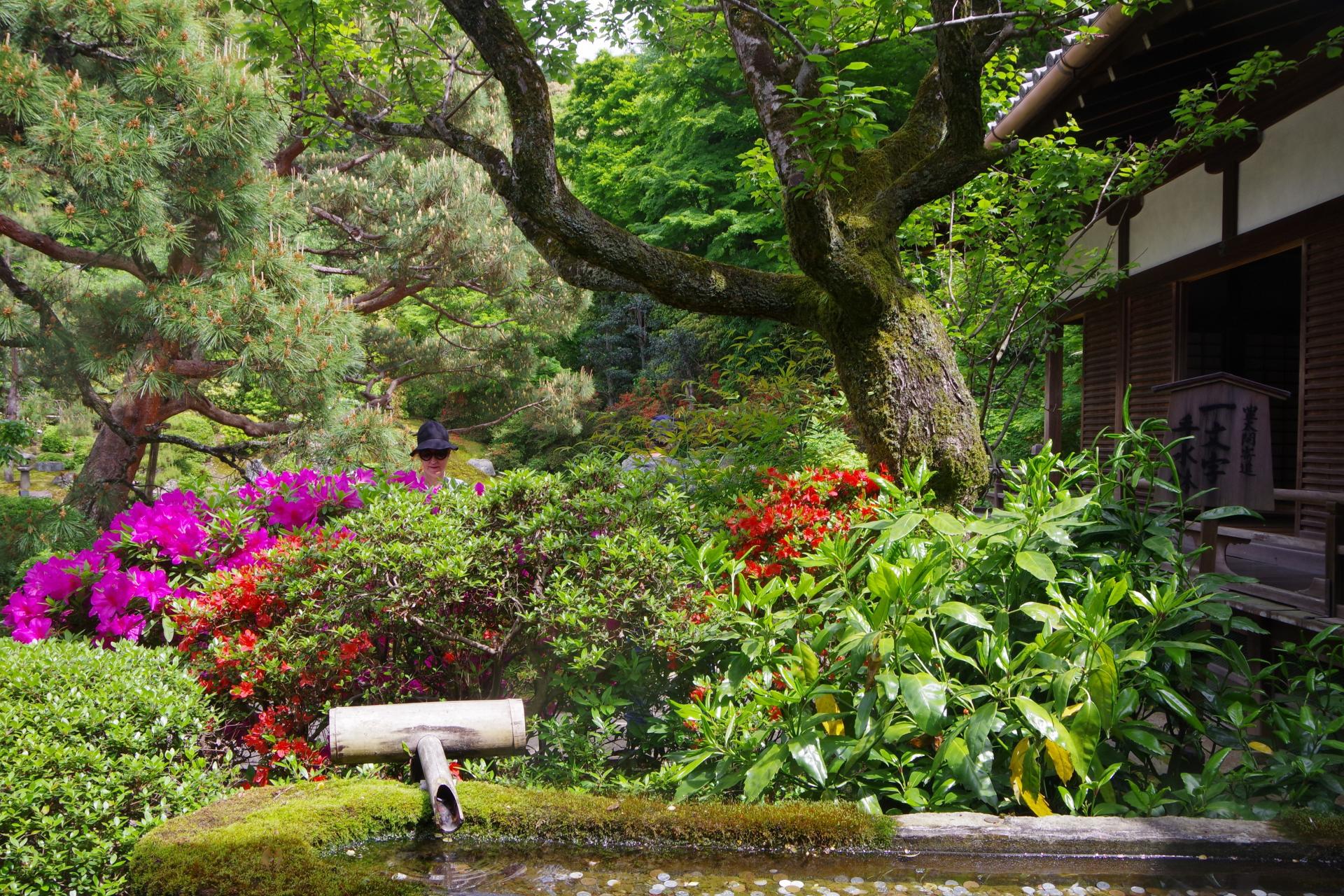 Shoren In kyoto