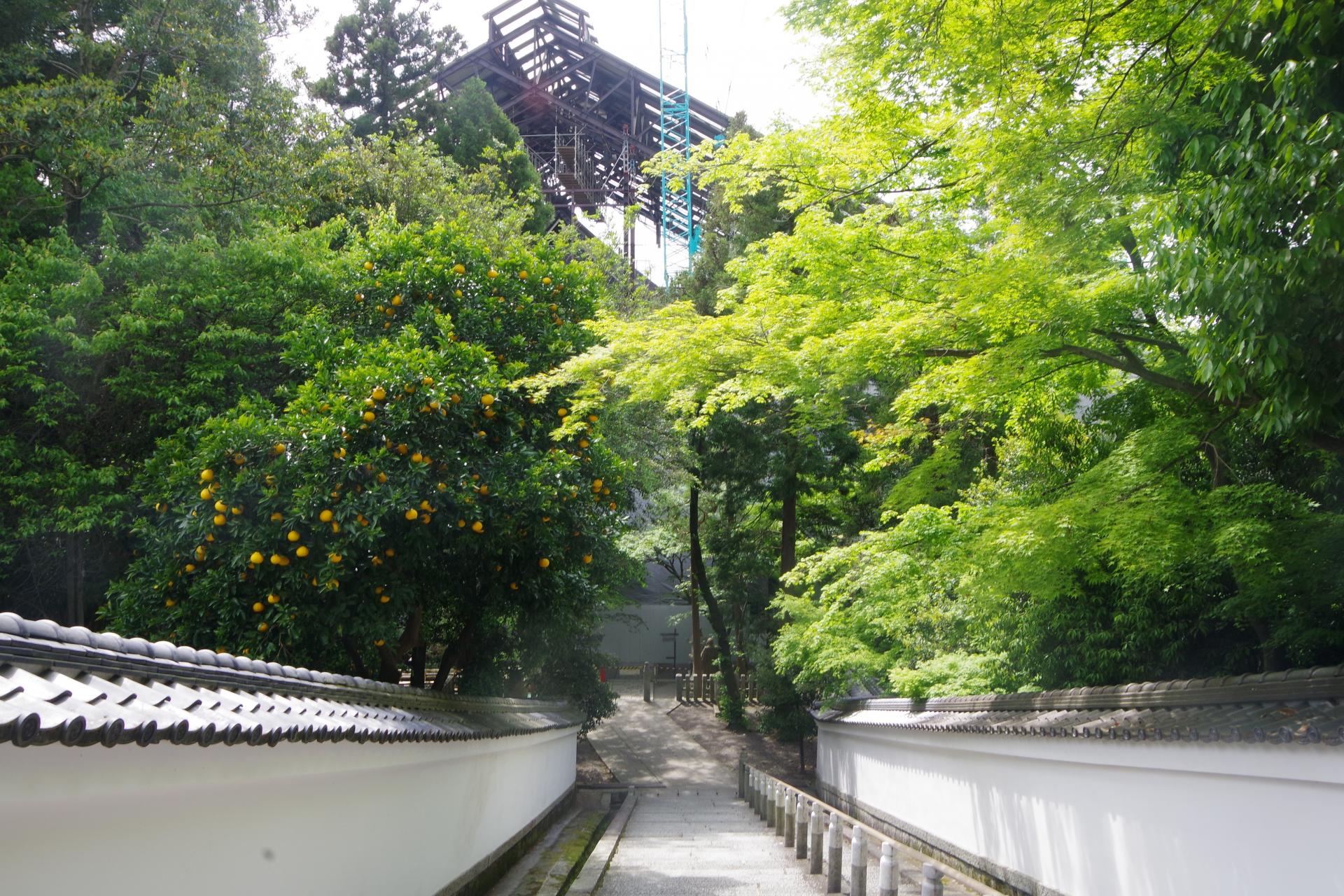 Kiyomizu dera