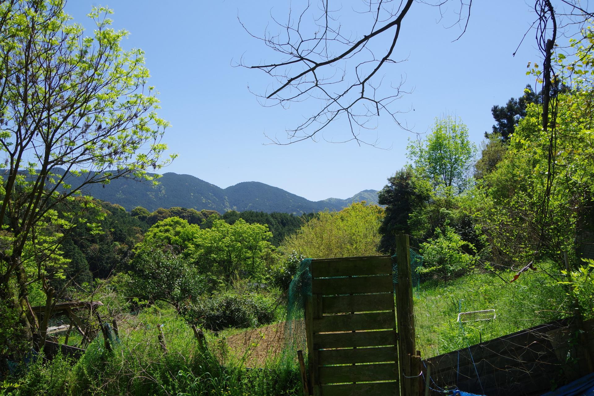 Kamiyamada farm