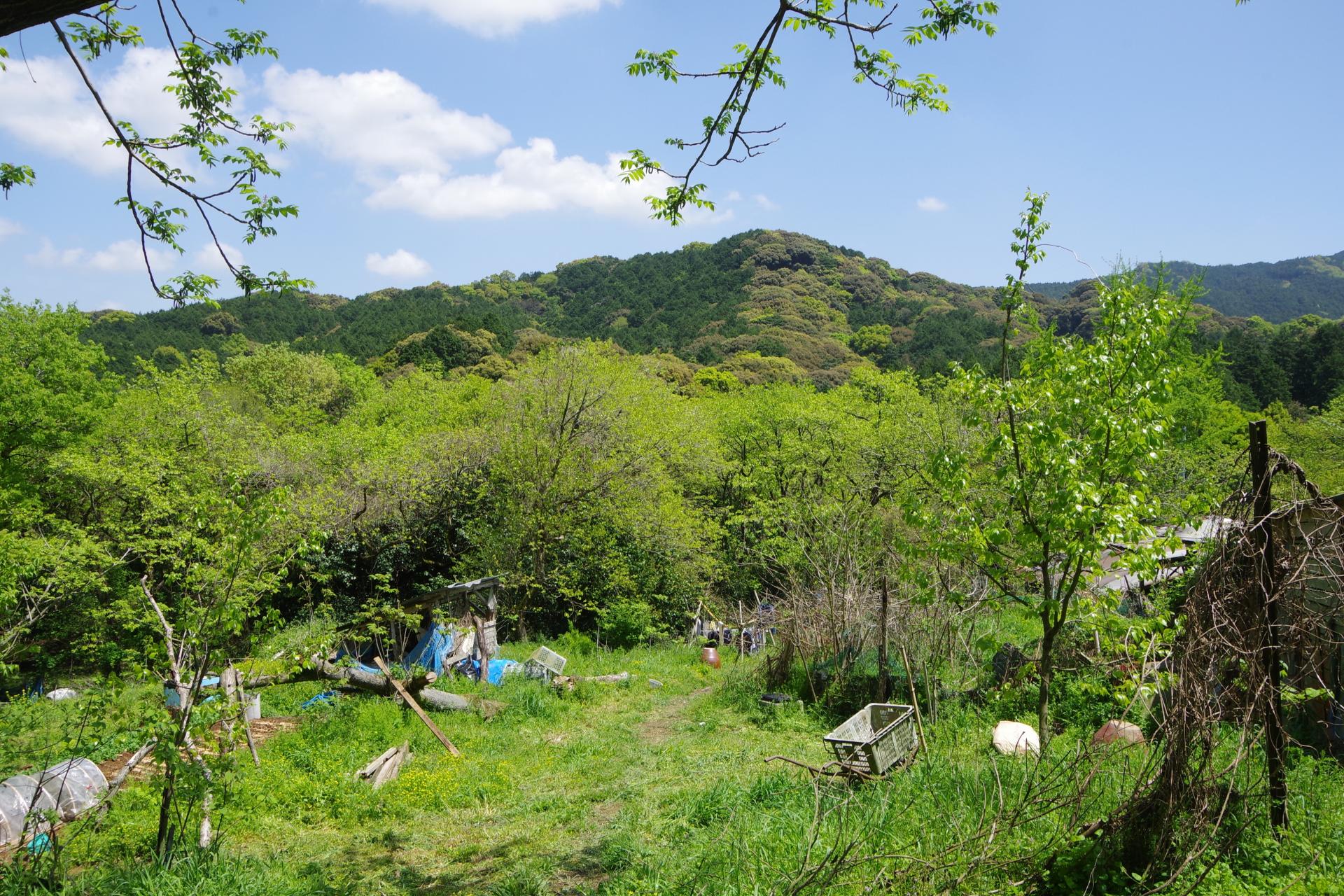 Kamiyamada farm