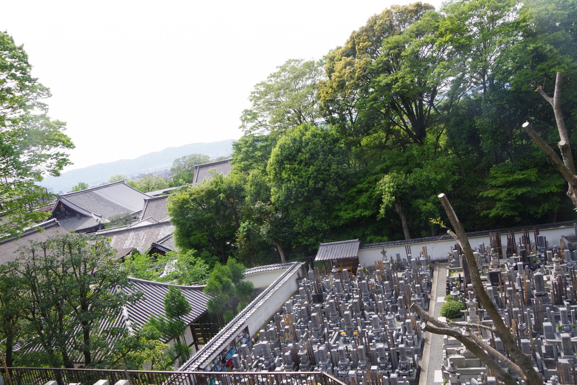 graveyard kyoto